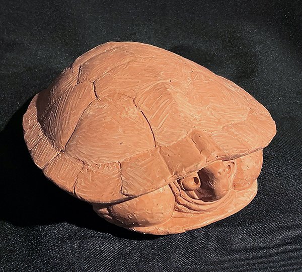 Turtle (Pre-Cast Title TBD)