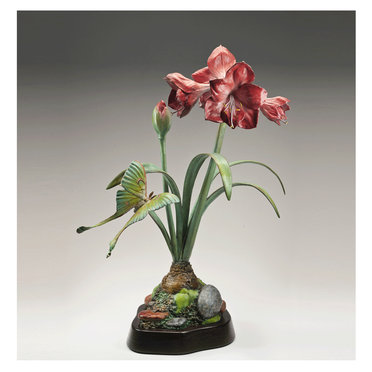 Amaryllis Moon