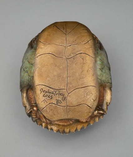 Joshua-Tobey-bronze-sculpture-Turtle-Shelter in Place-bottom View.jpg