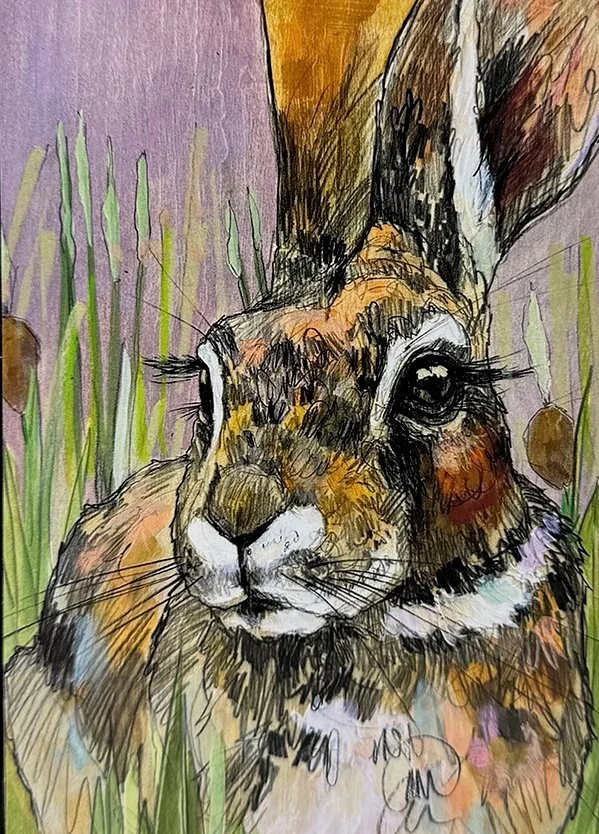 Amy-Ringholz-small-journal-rabbit-cattails.jpg