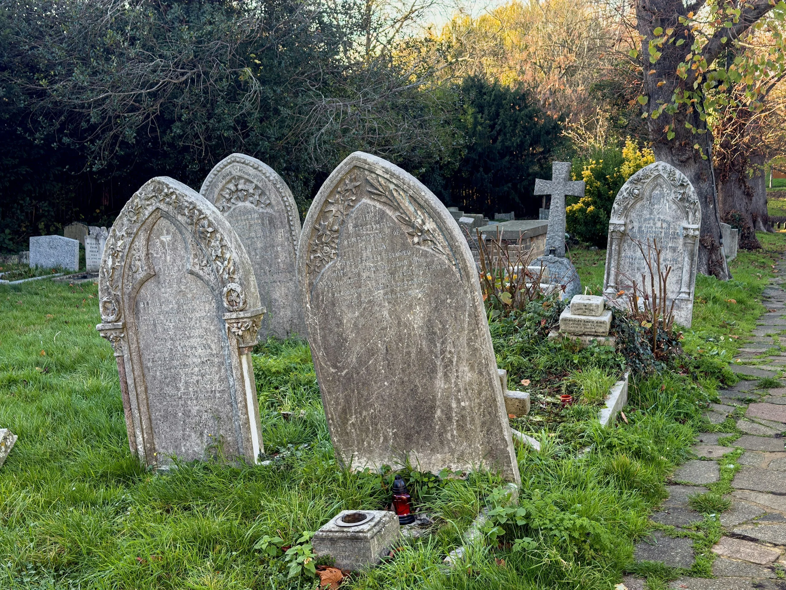 A Skull’s Story Recovered After 200 Years
