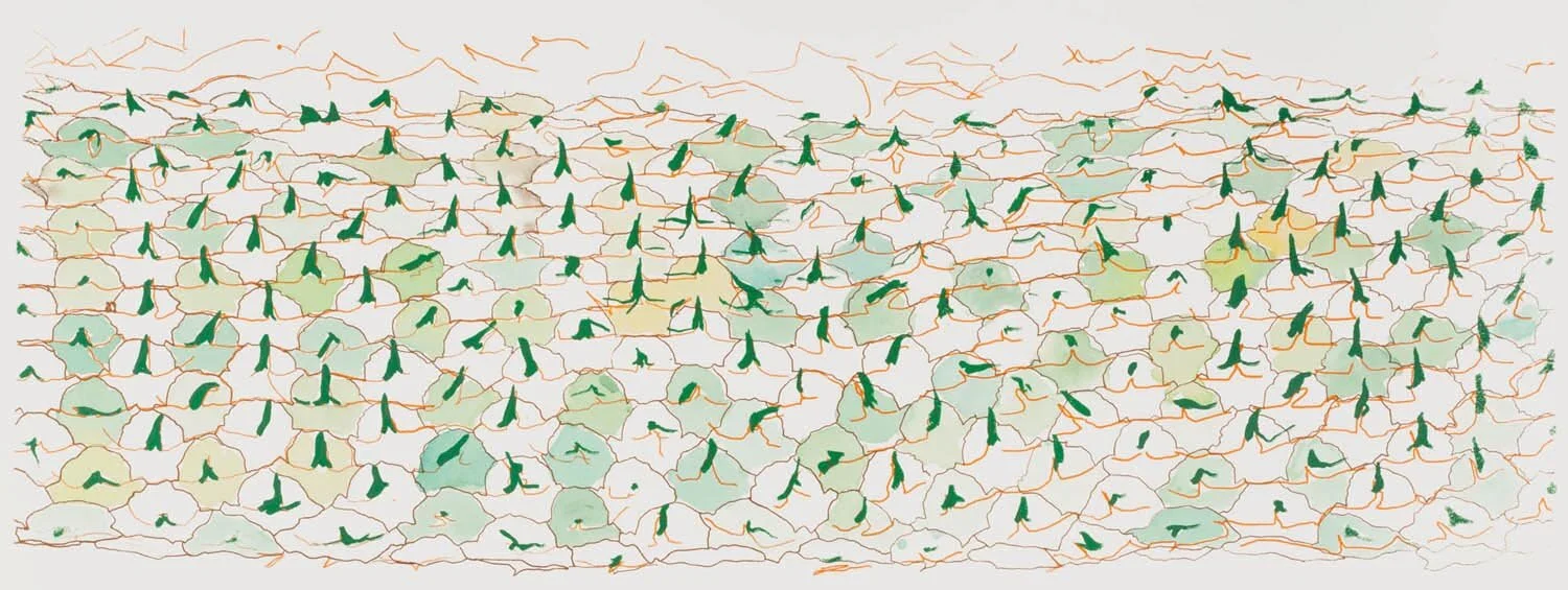 Spikes Green