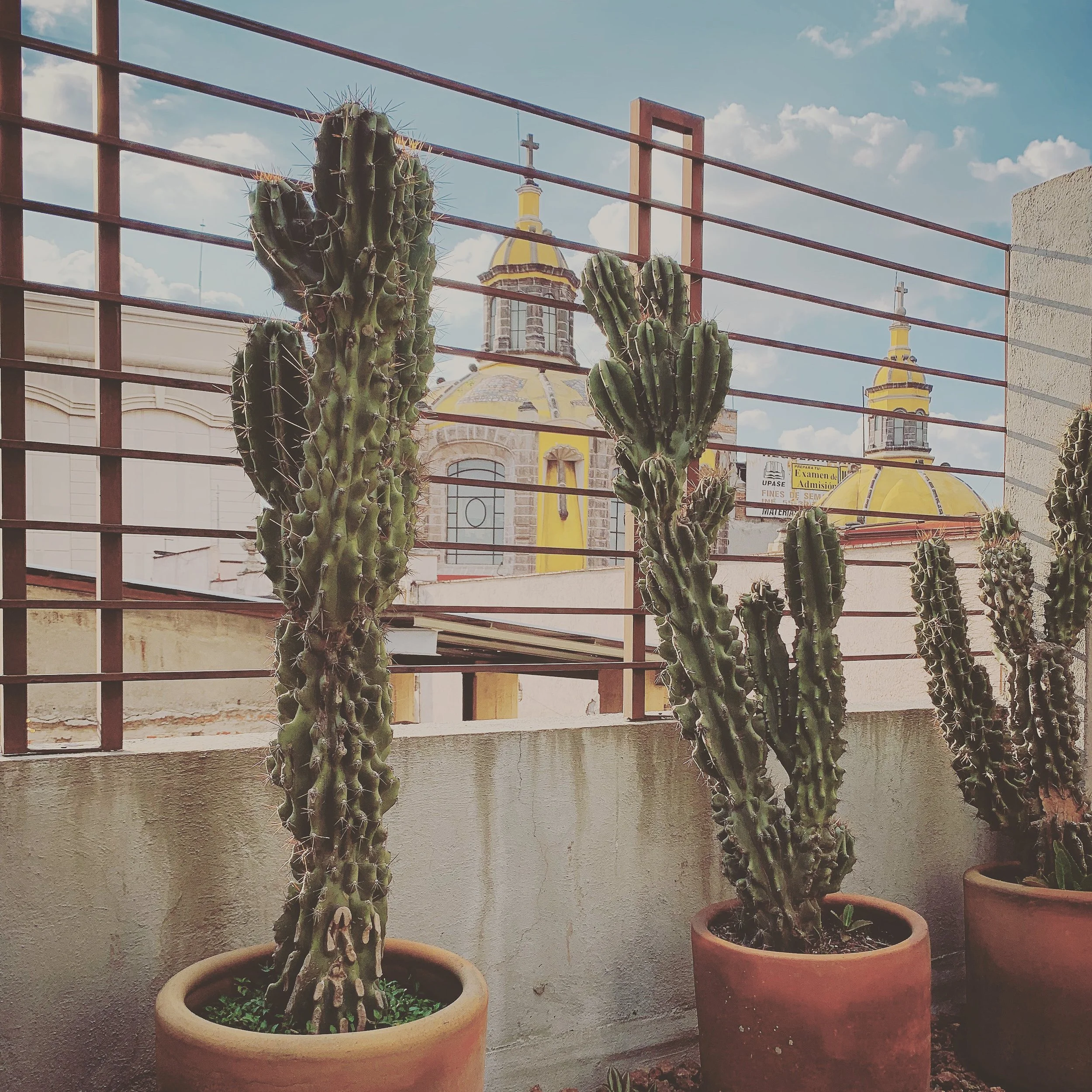 Chaya B&amp;B Boutique Hotel : petite oasis en plein coeur de Mexico City