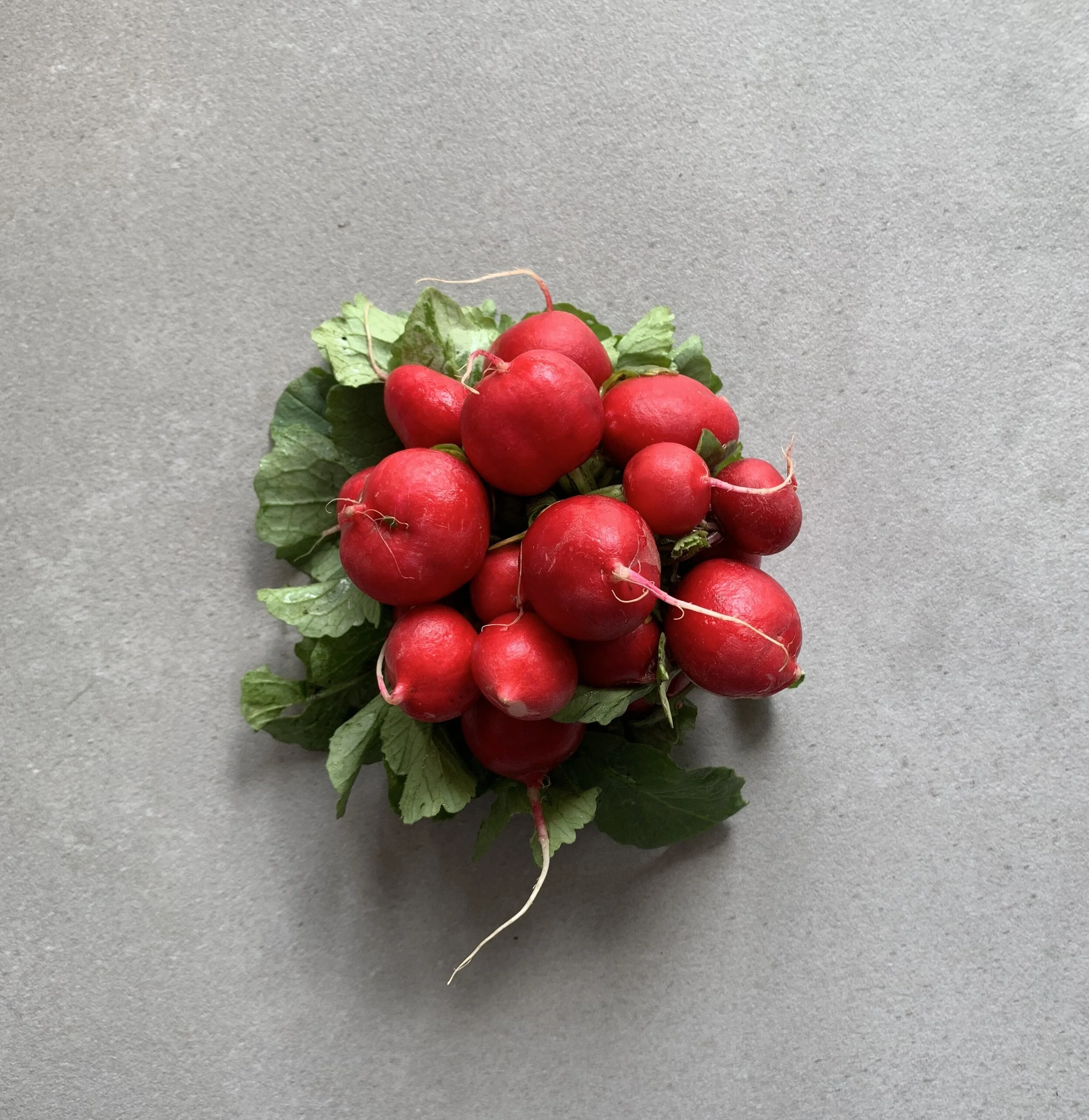 Top 6 de recettes estivales à faire absolument