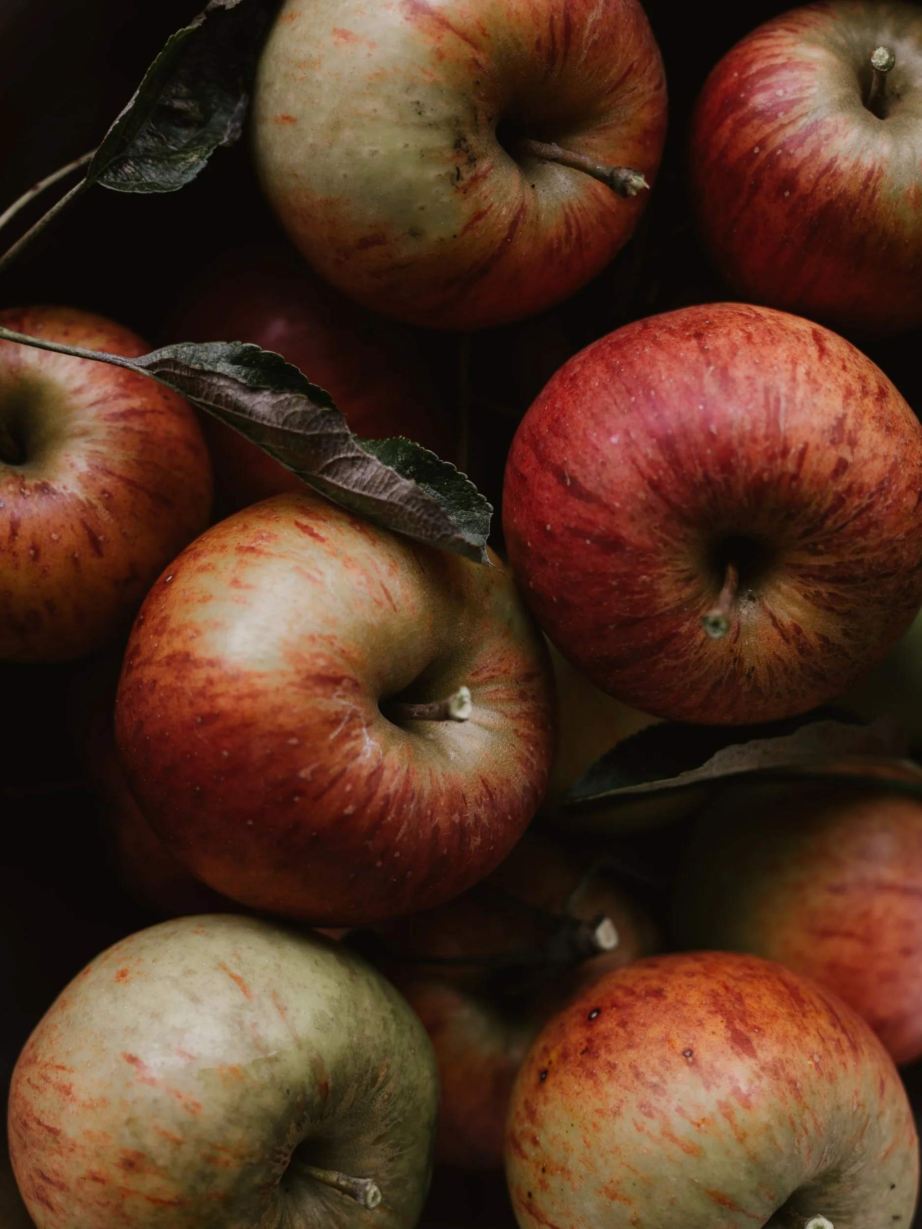 6 idées de recettes pour cuisiner les pommes