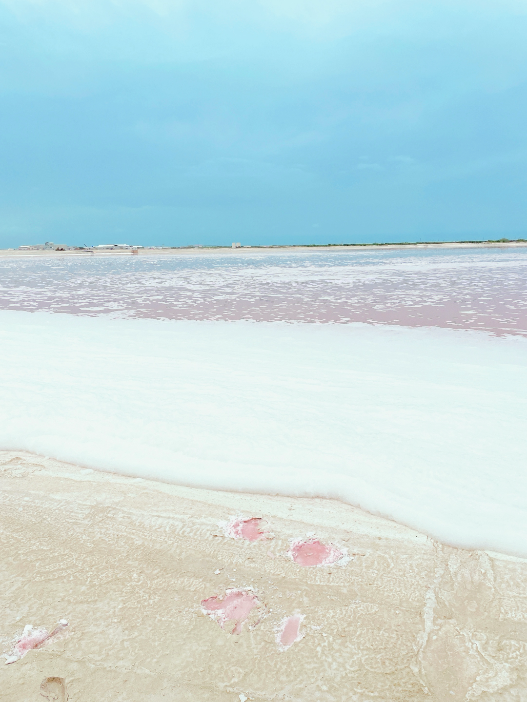 Templify-771FFC2A-C76A-4DE5-A004-74E4E7AB6269.png