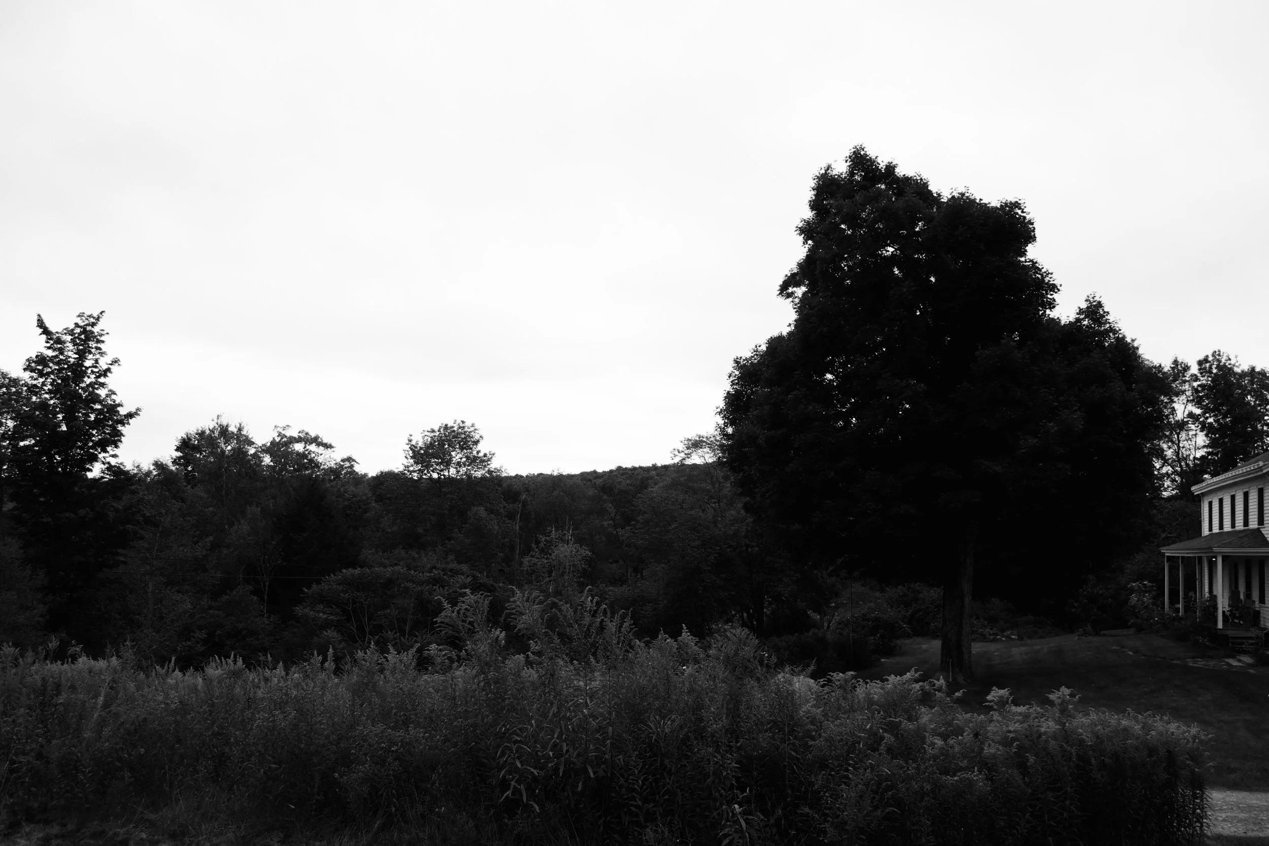 DSC_0111.jpg