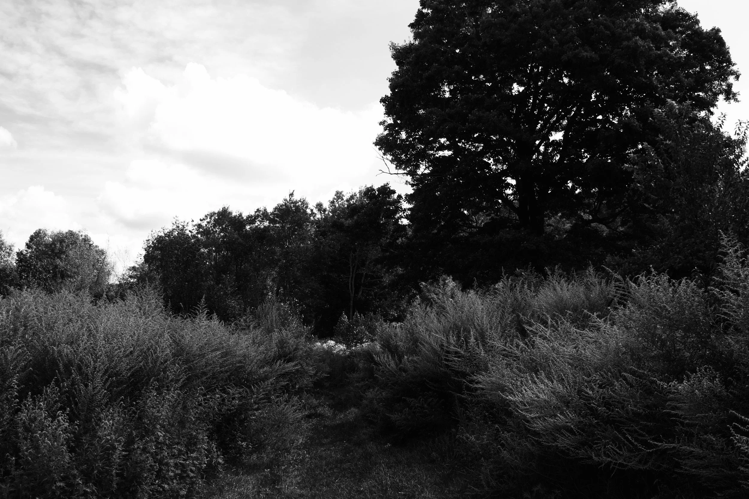 DSC_0357.jpg