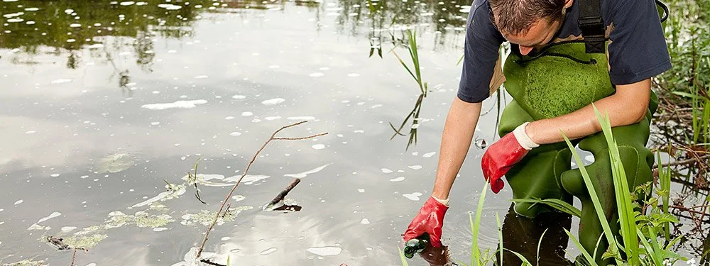 Care for the Environment