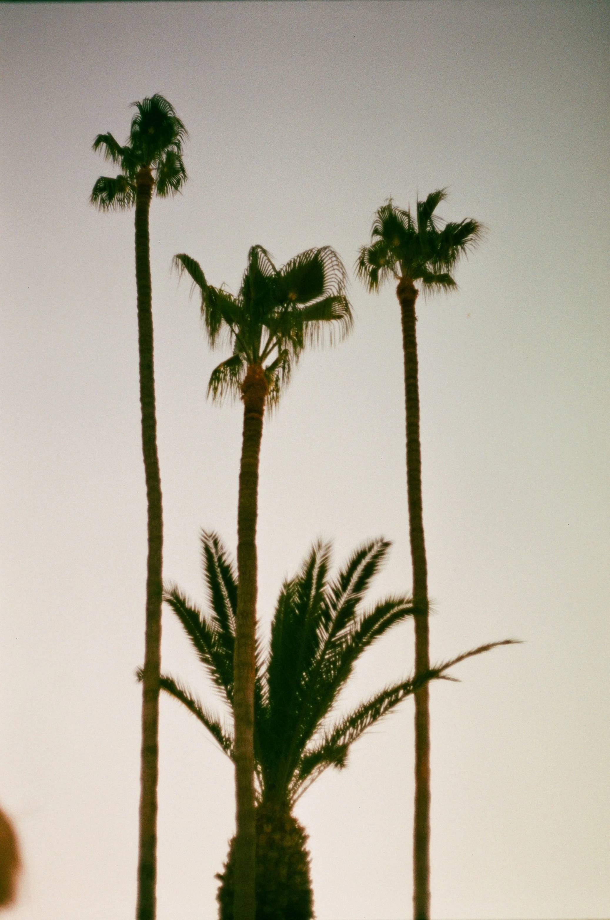 000019710028.jpg