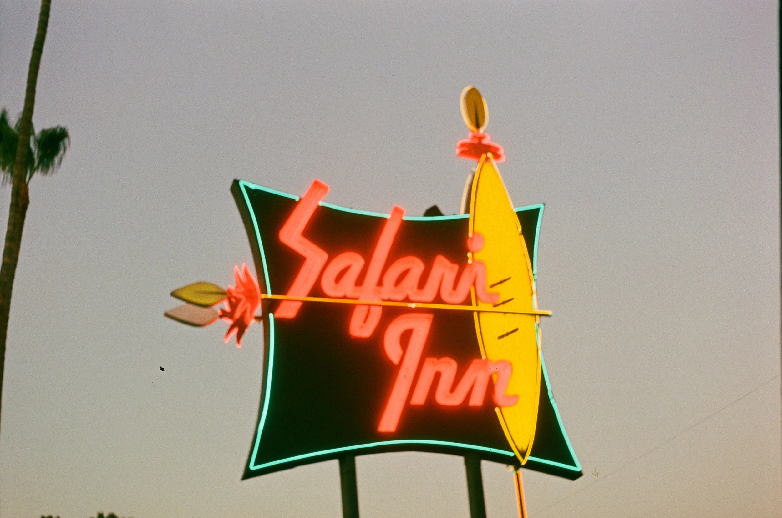 000019710010.jpg