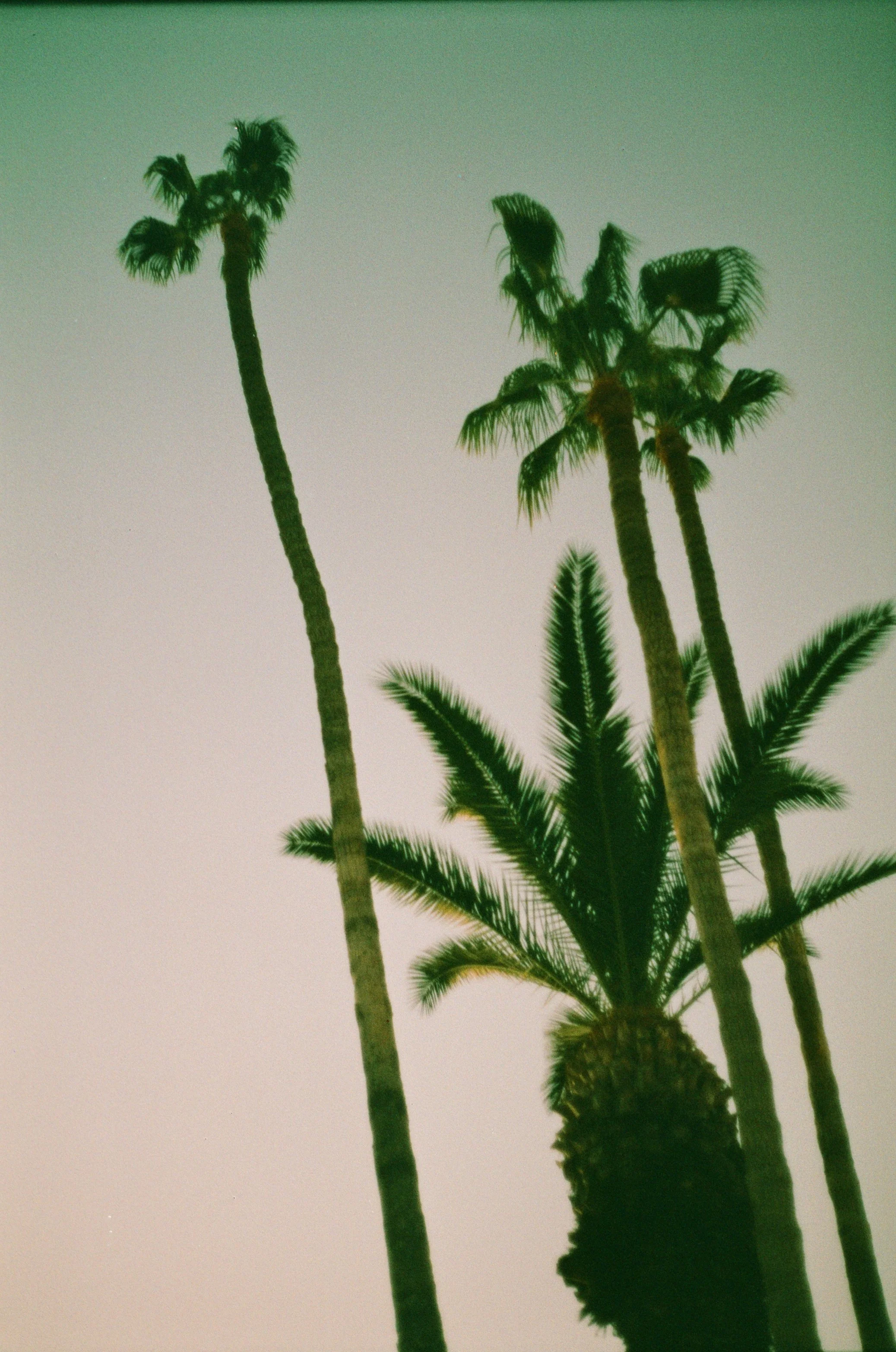 000019710030.jpg