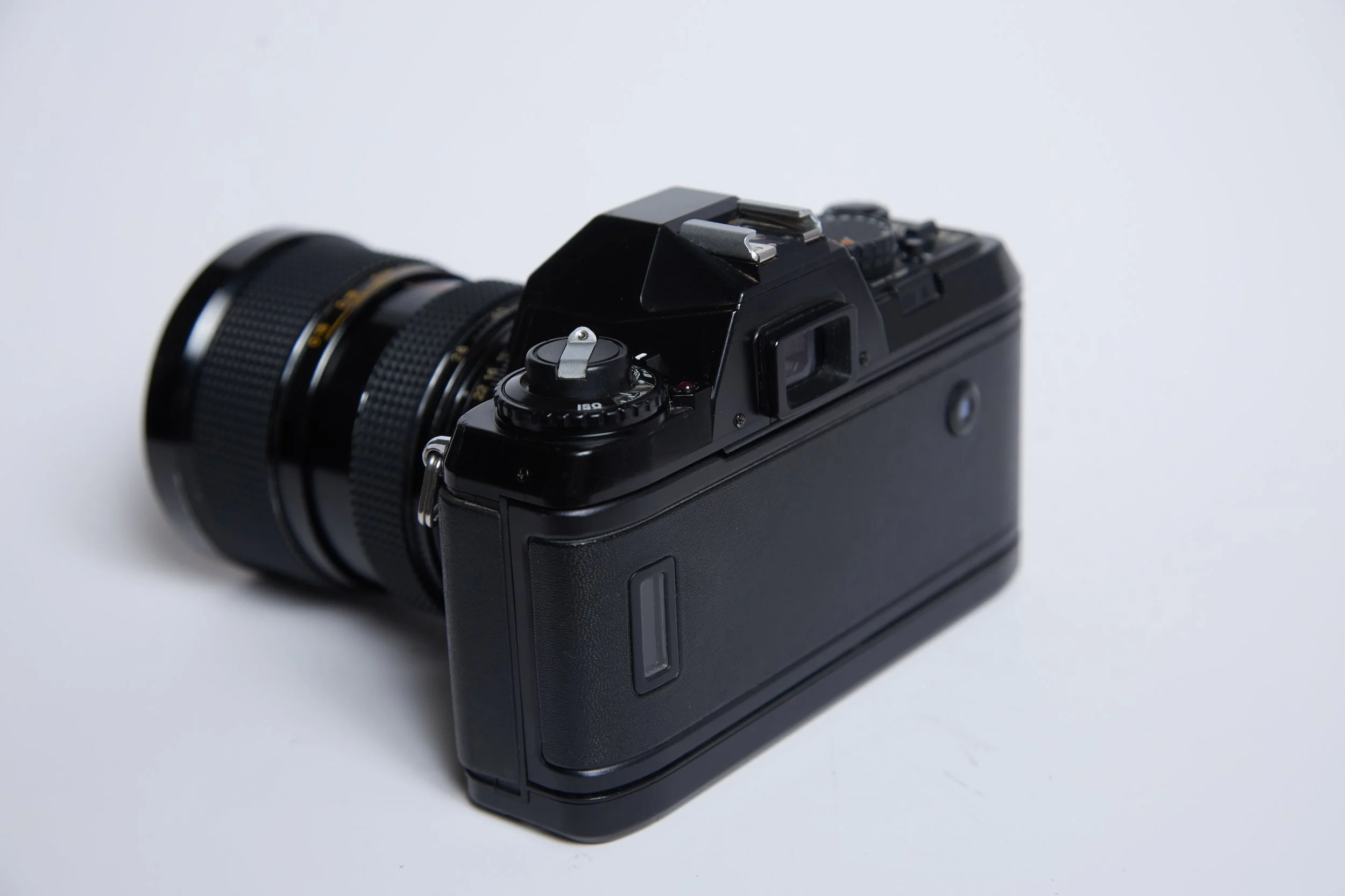 Nikon N2000_0132.jpg