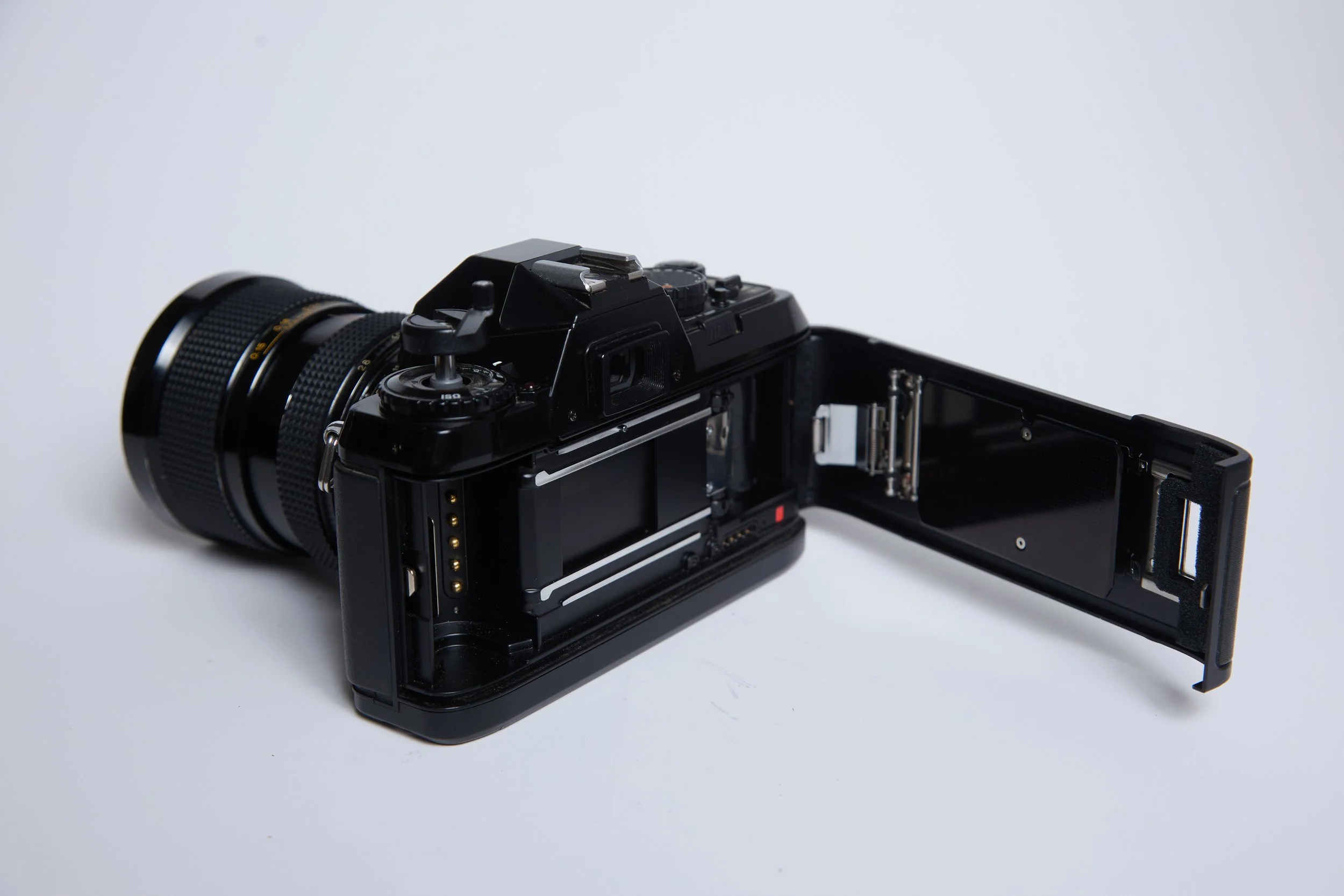 Nikon N2000_0133.jpg