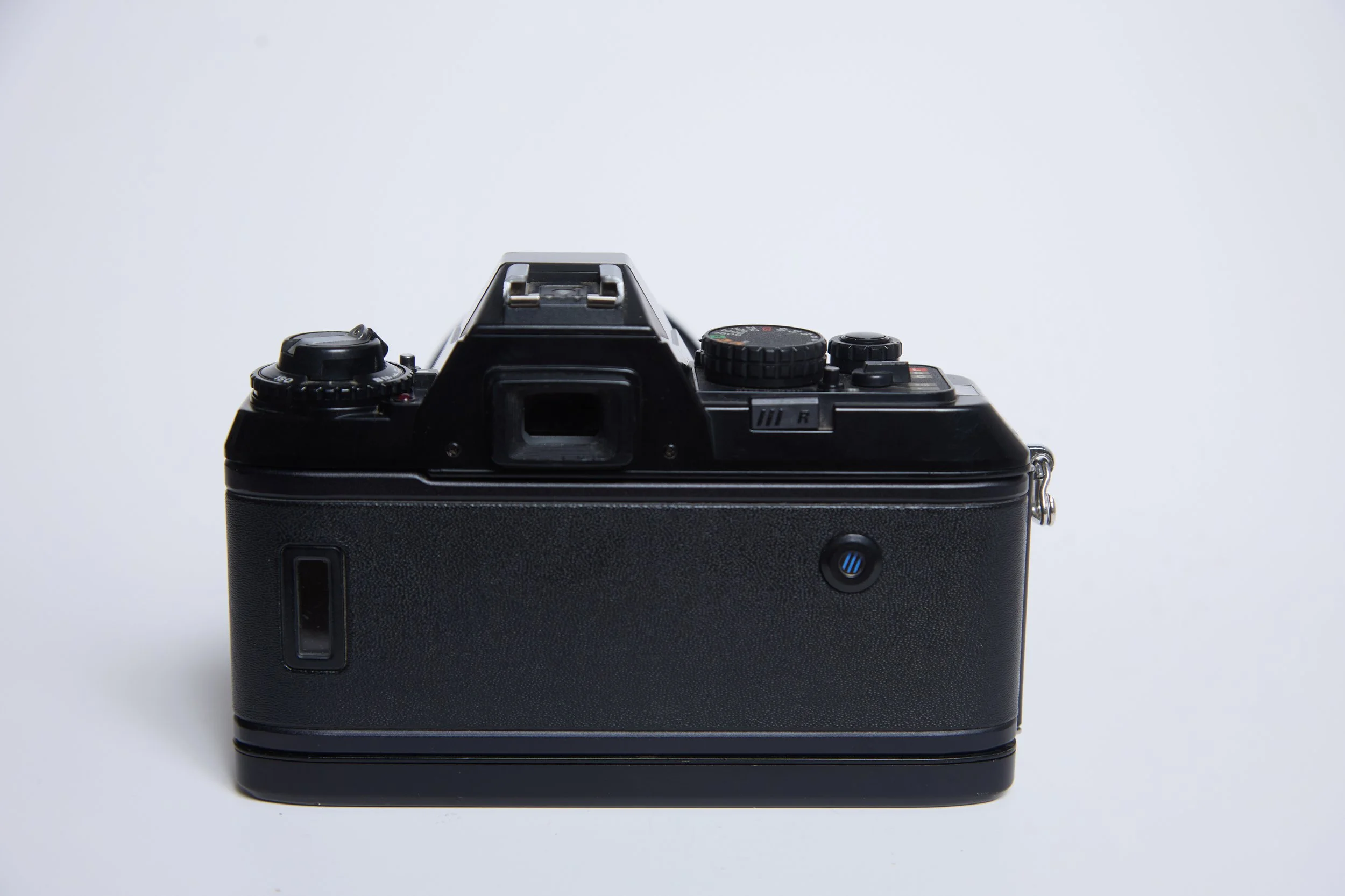 Nikon N2000_0131.jpg