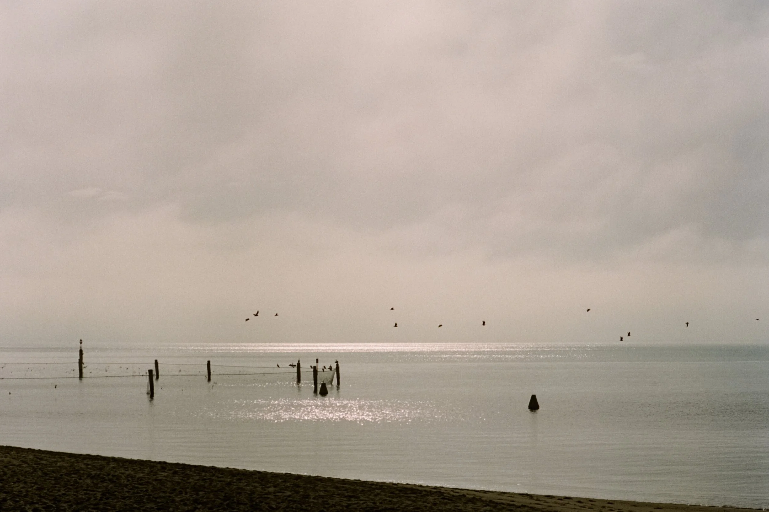 image 6.JPG