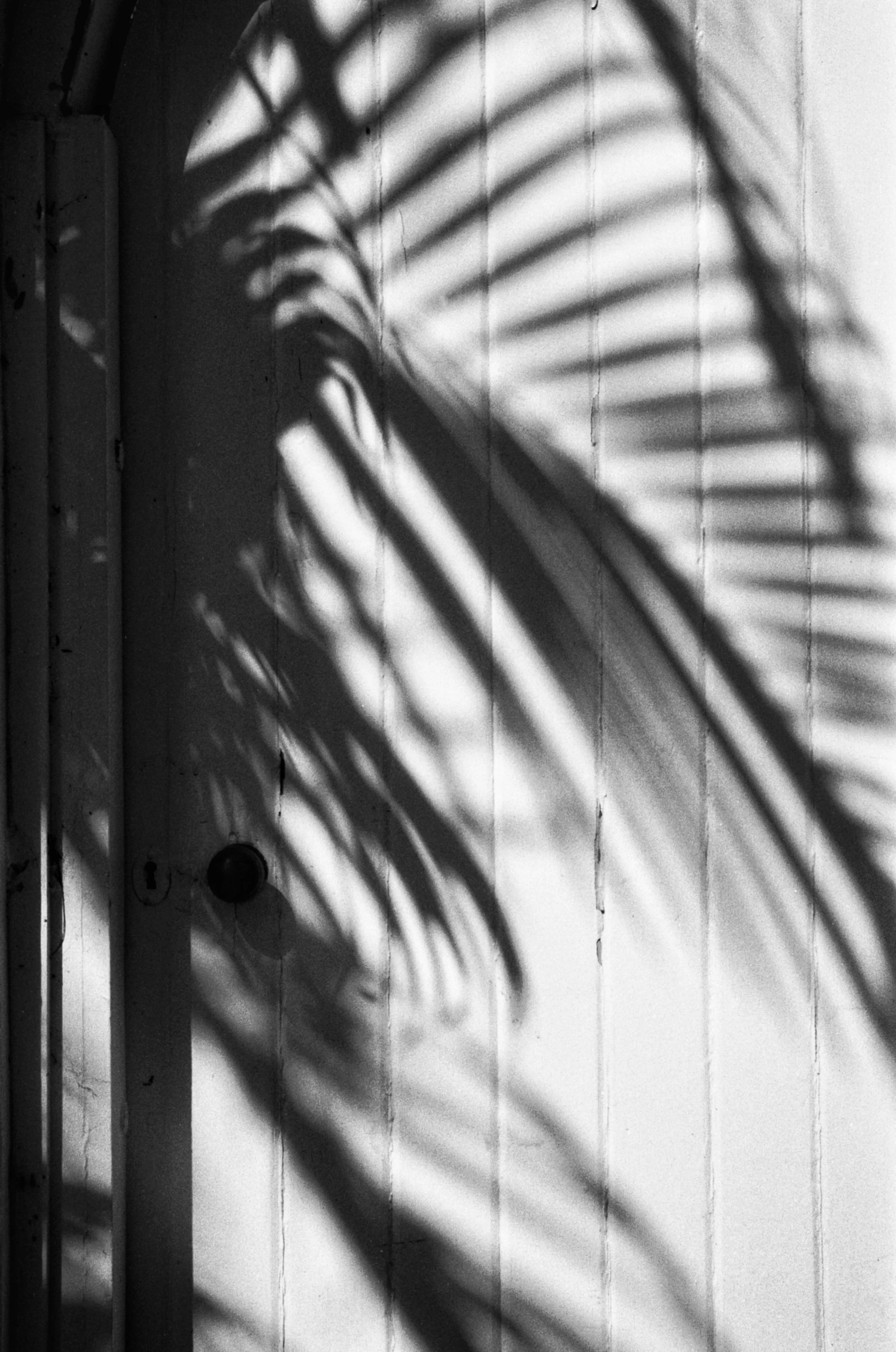 4F3981A6-4ECF-4F61-9D58-43A2A2A06E6B-15237-000002C1A4E67556 2.JPG