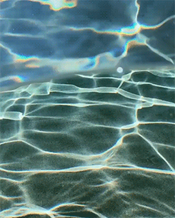 skin.gif