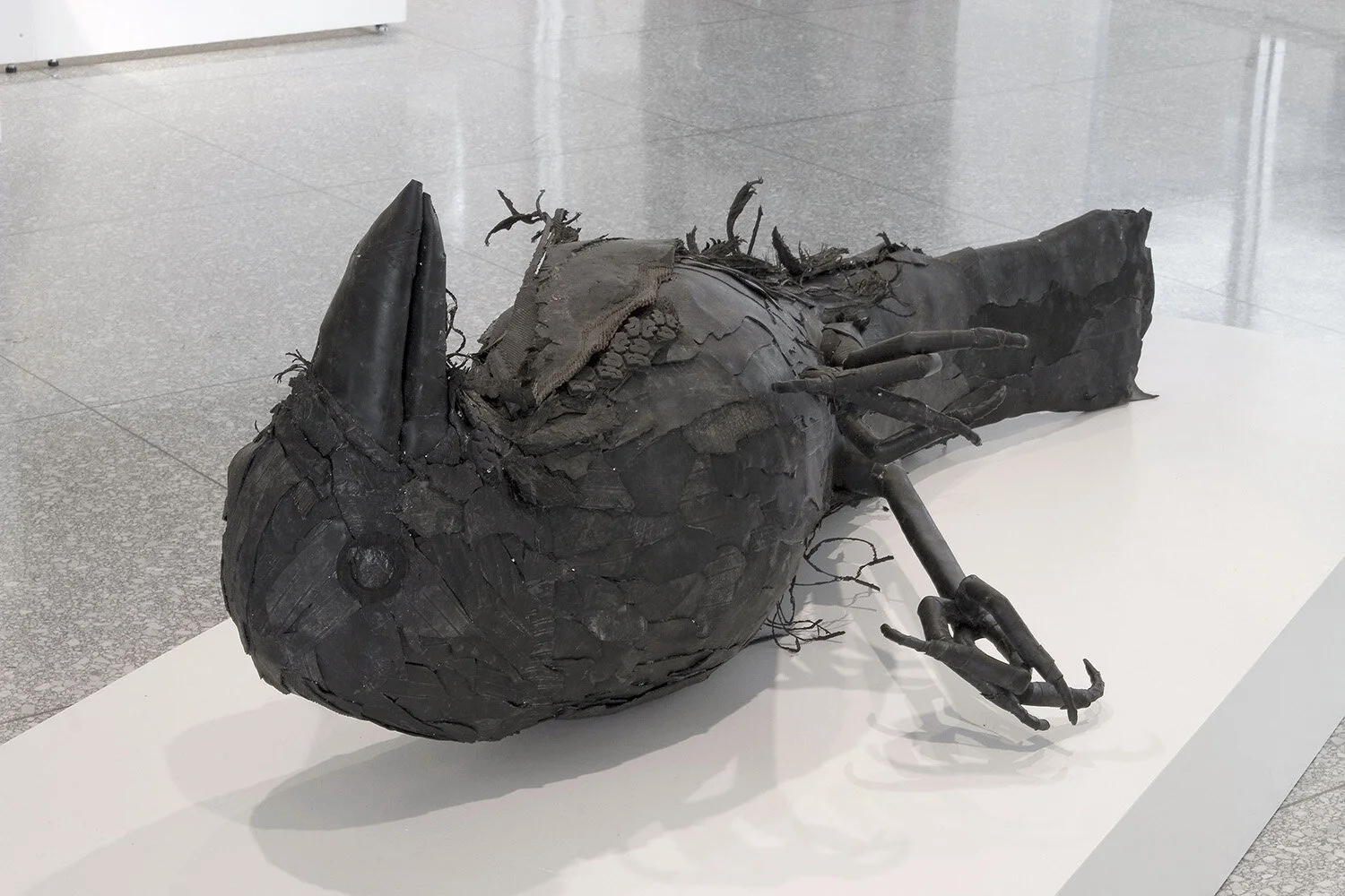  installation view of  Corvus Deflatus. Photo credit: Jim Riegel  