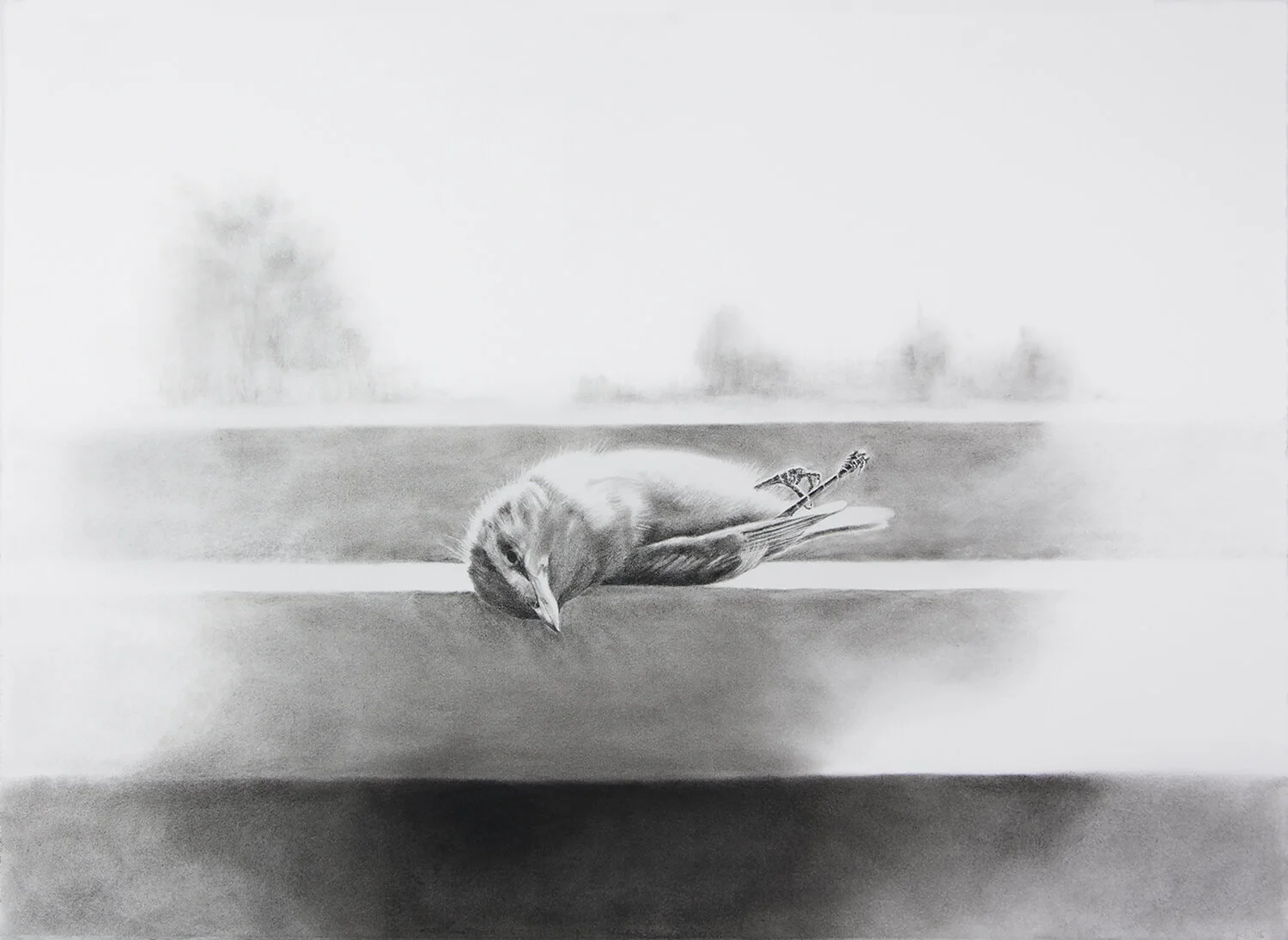 Elegy 1