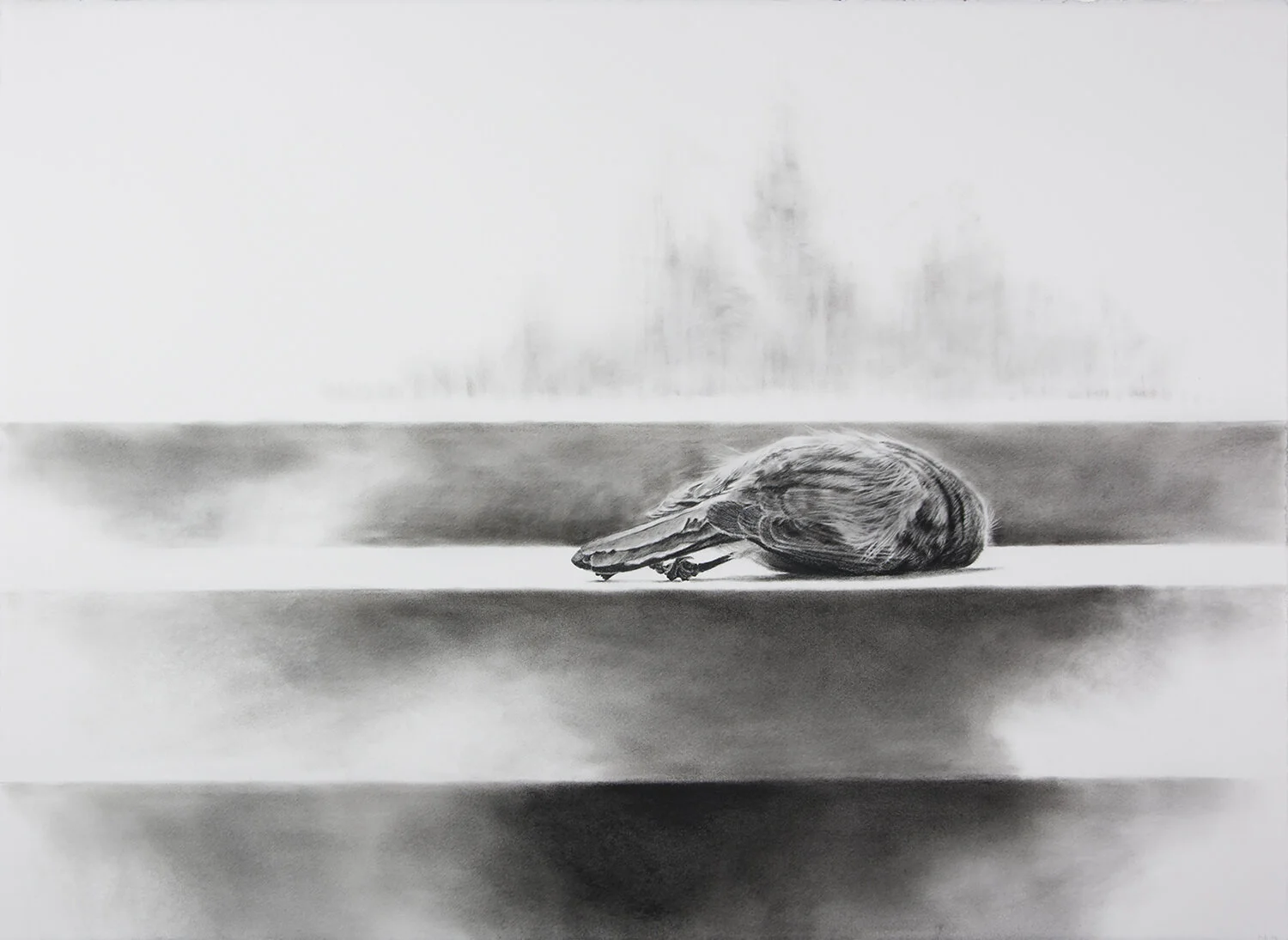 Elegy 3