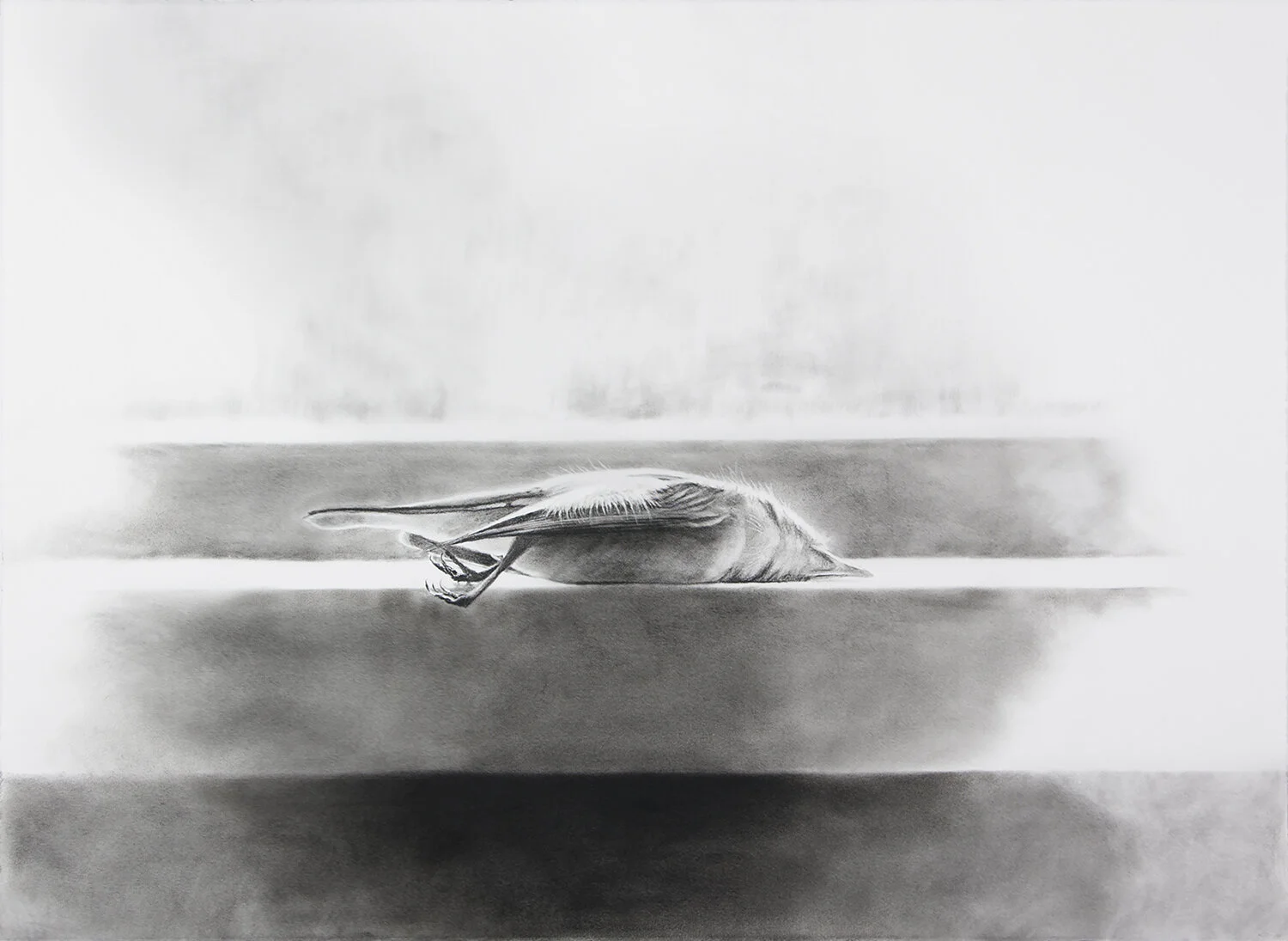 Elegy 4
