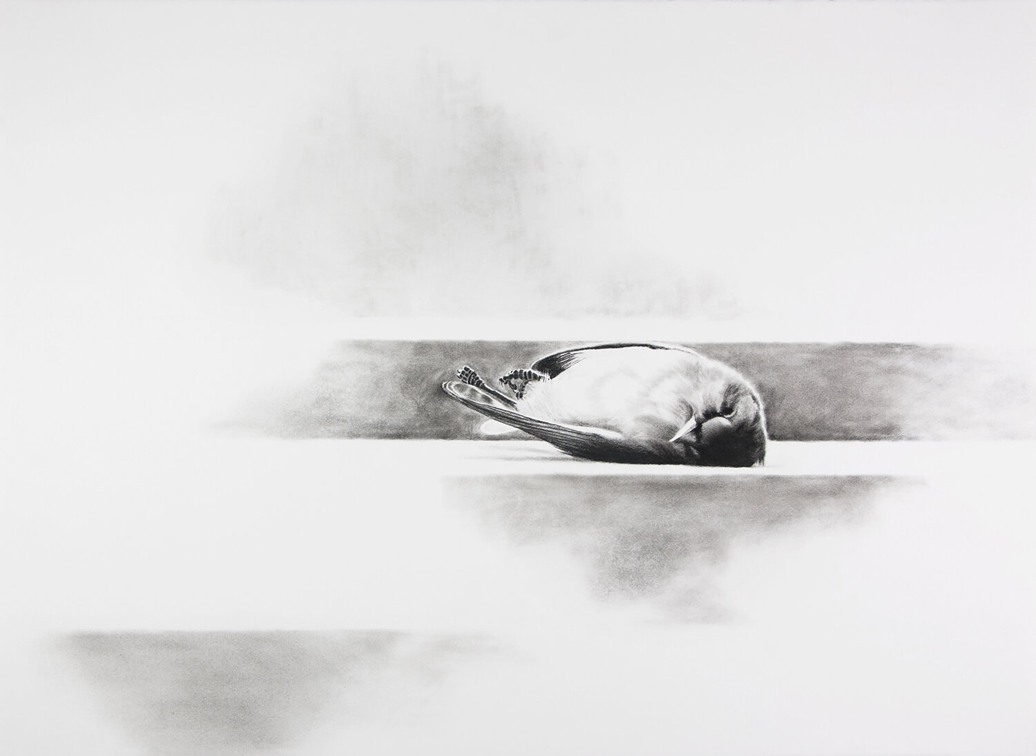 Elegy 6