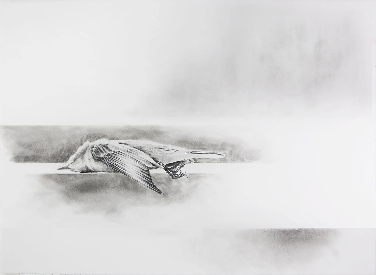 Elegy 5