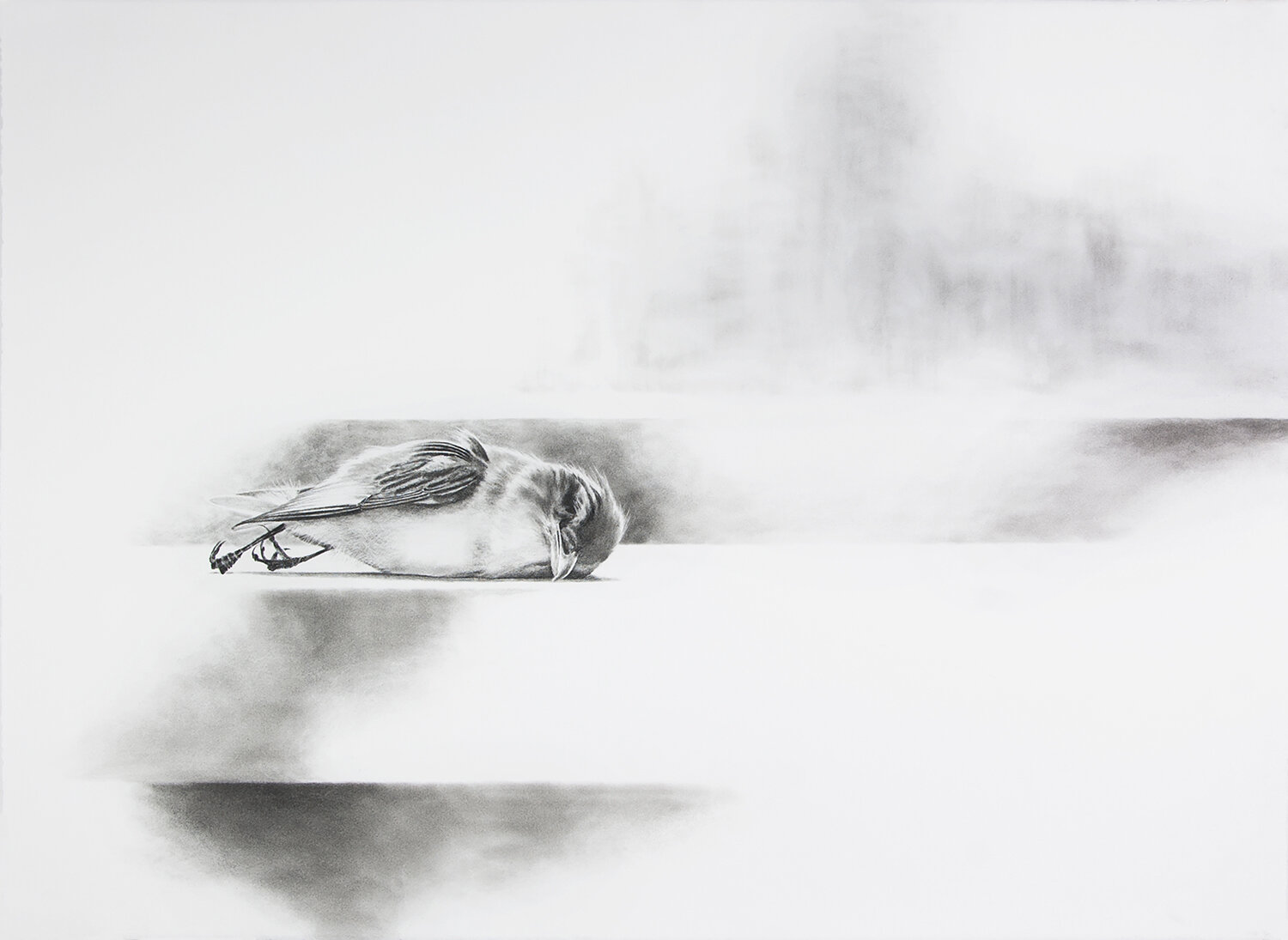 Elegy 7