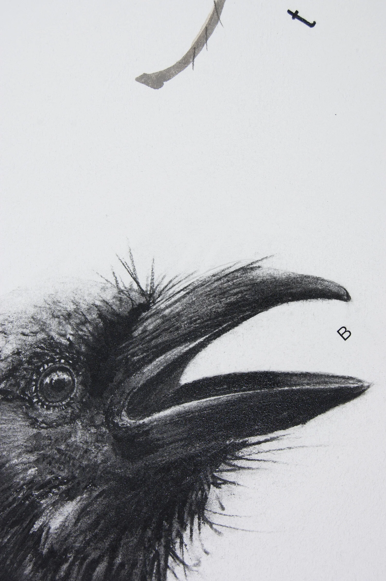 Crow’s First Lesson #3: Tsetse Fly