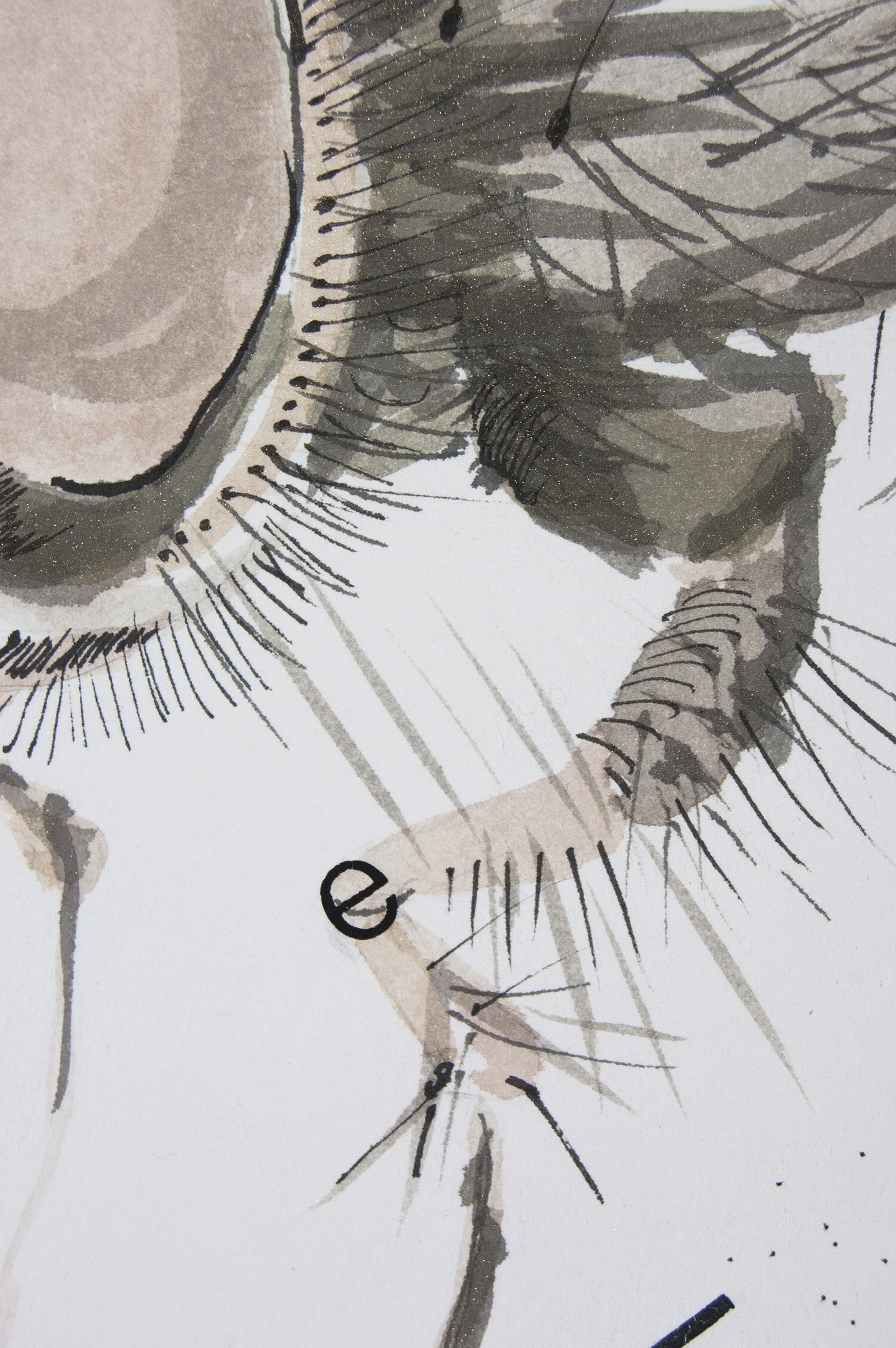 Crow’s First Lesson #3: Tsetse Fly