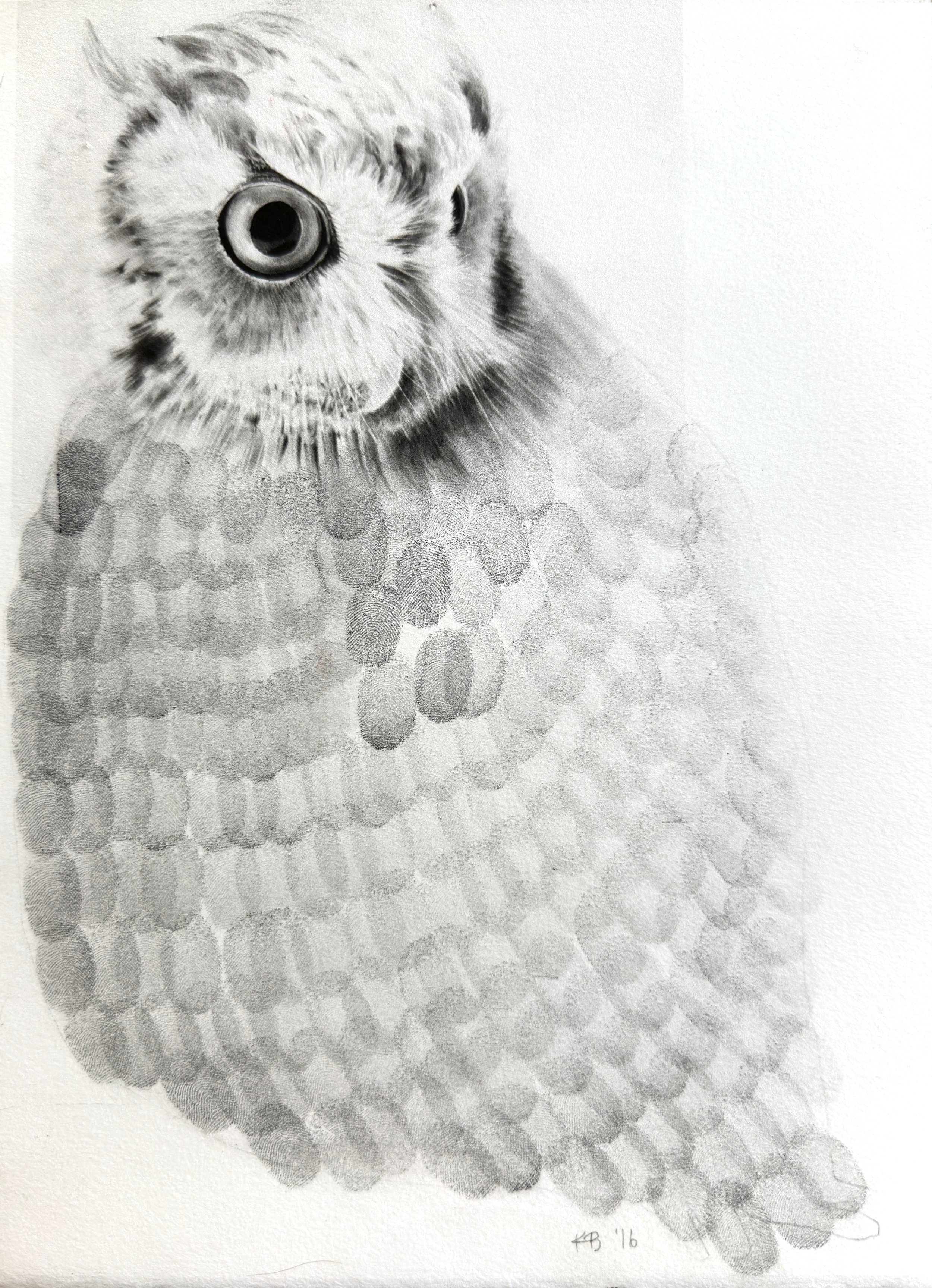 Study: Owl
