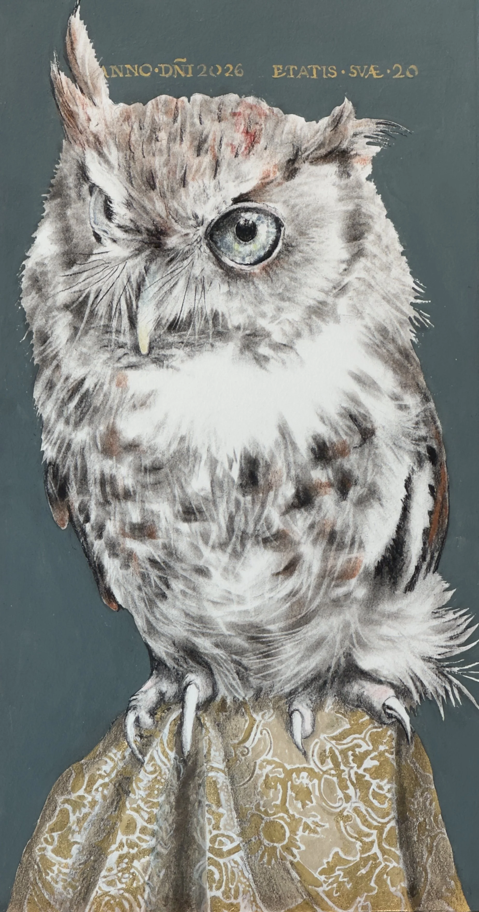 Hubie Study