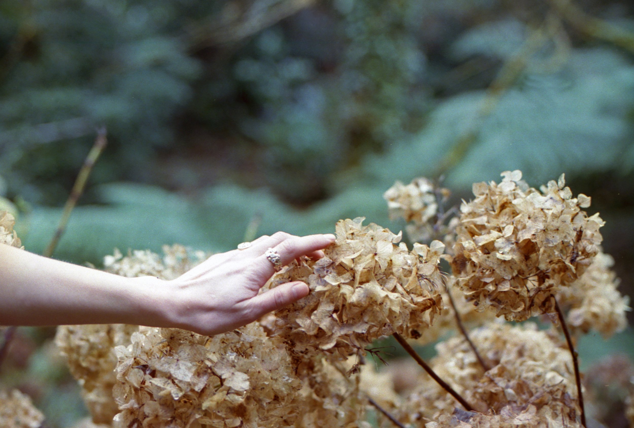 Captured on film by Lua Ribeira.