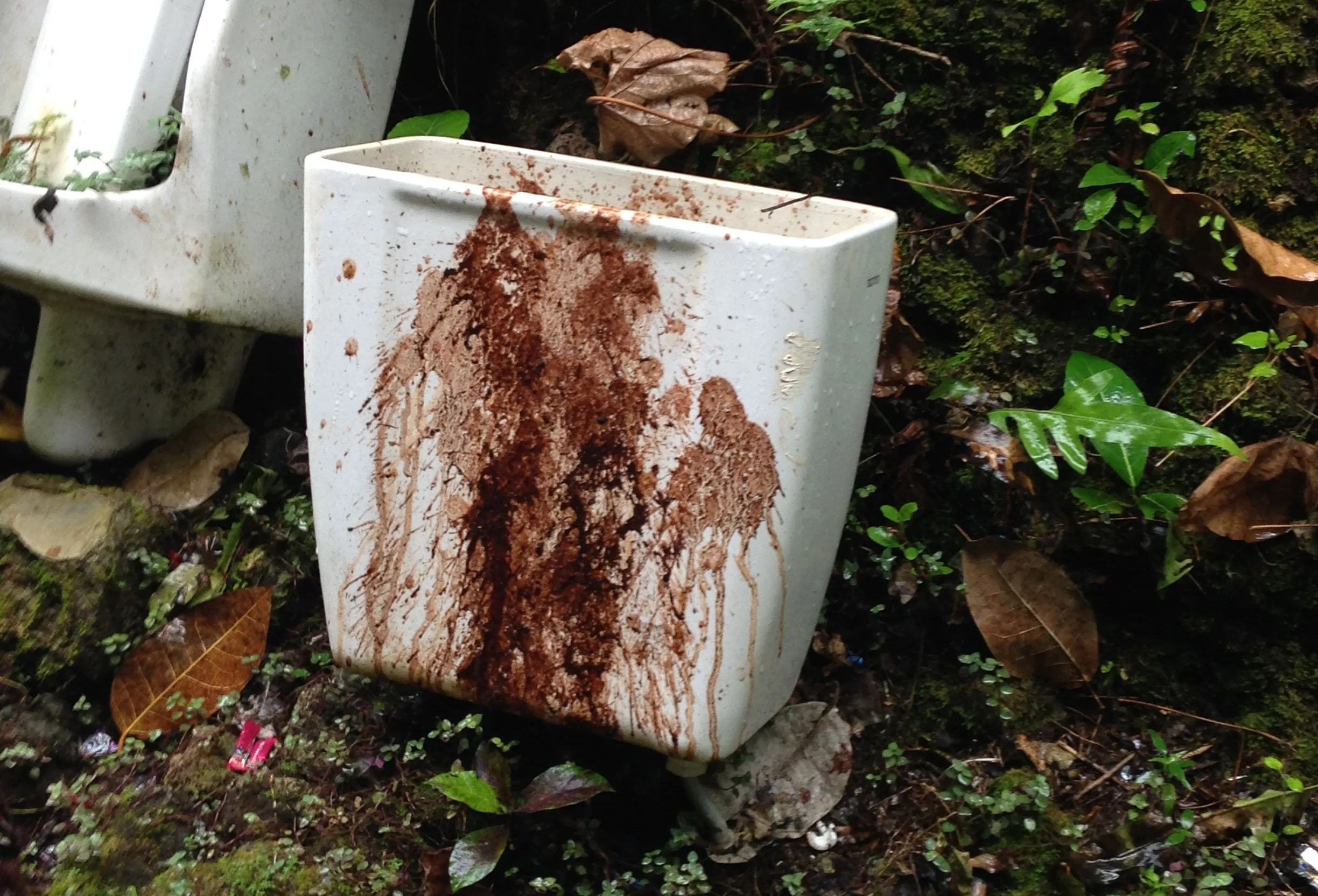 Up Chucks (Solomon Islands)