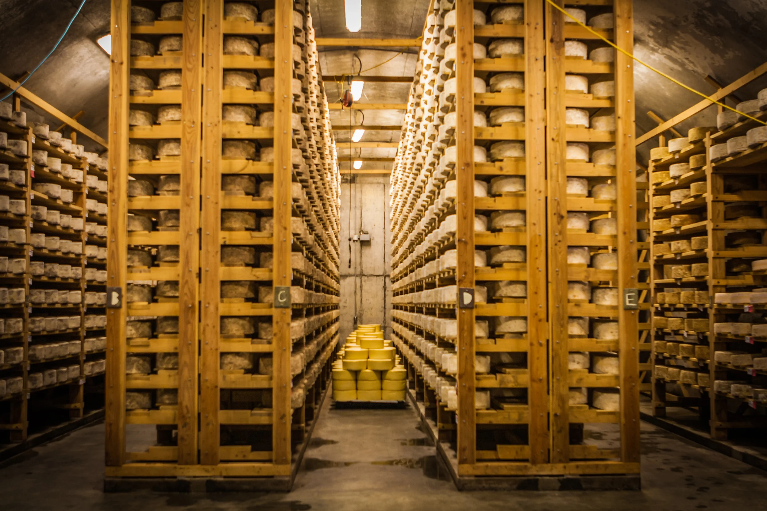 CJH Cellars 20120630 - 0020.jpg