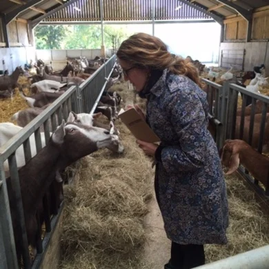 Meet Writer Tenaya Darlington