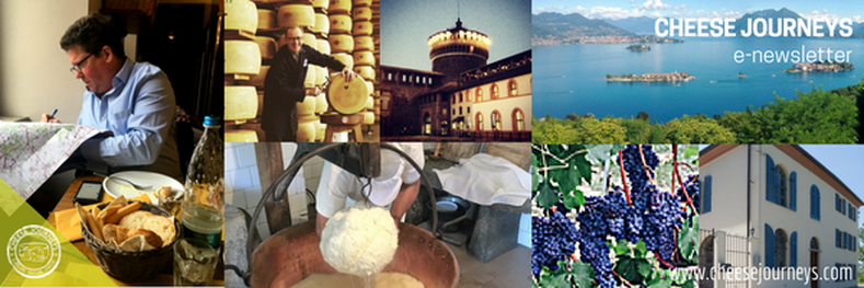 February News: Destination Italy