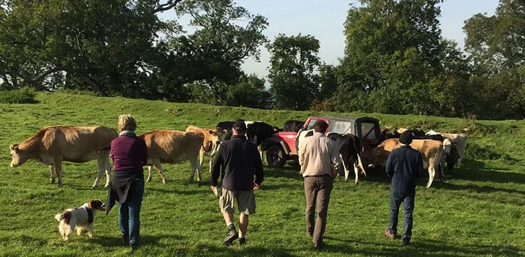 CHEESE JOURNEYS: PASSPORT TO ‘CHEDDAR FAMILIES’ OF ENGLAND