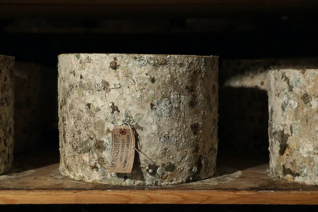 Montgomery’s Award-winning Cheddar Cheese                                                                        Photo: Tenaya Darlington