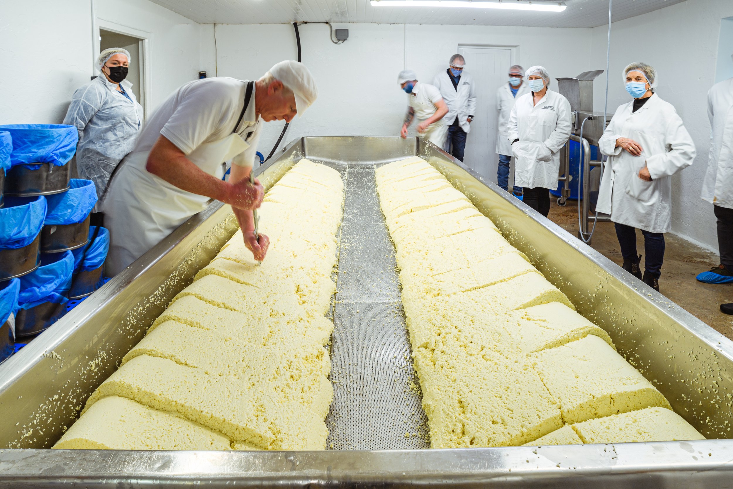 In the dairy making Montgomery Cheddar (11).jpg