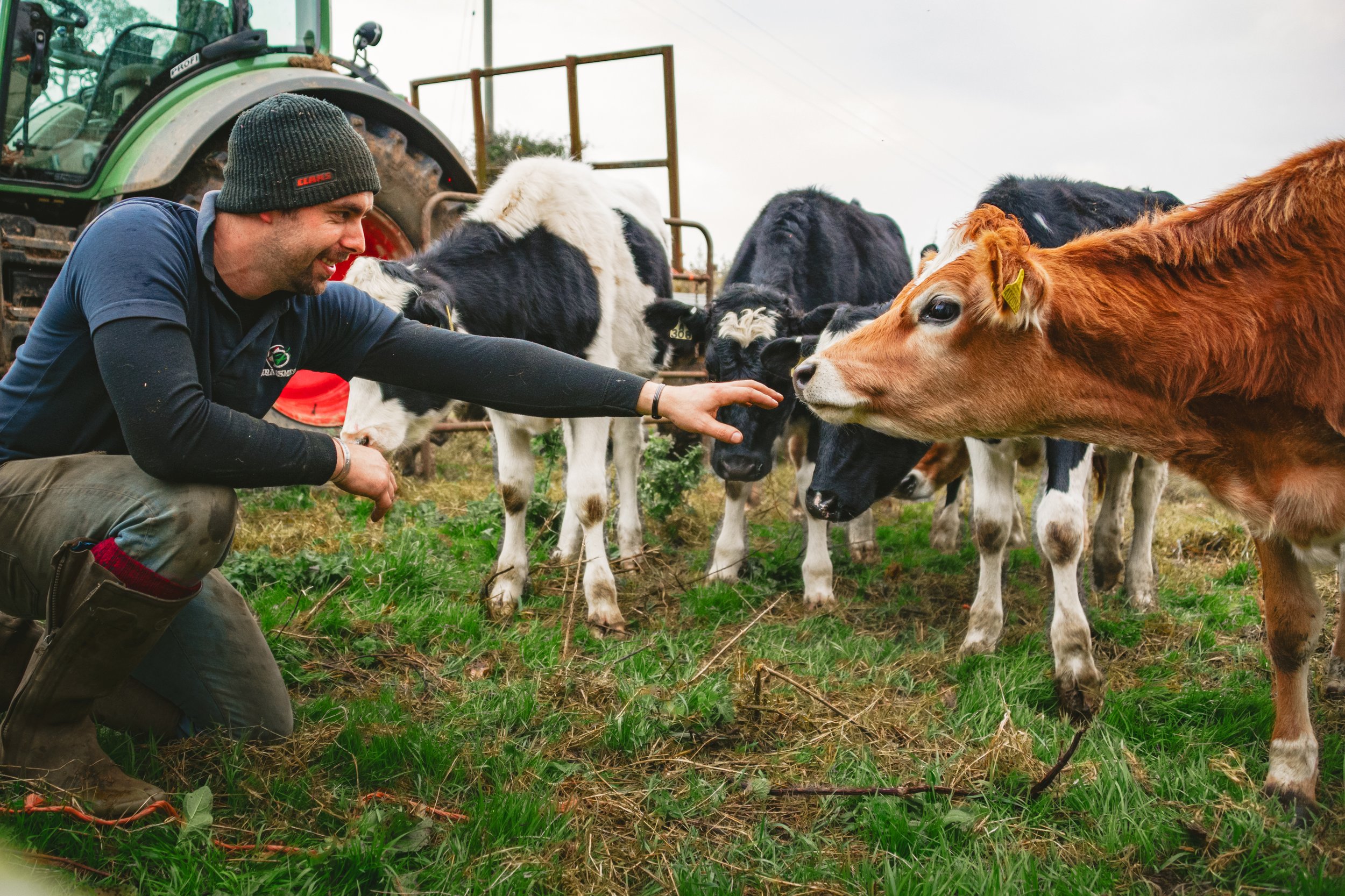 Moving Cows to Winter Quarters (1).jpg