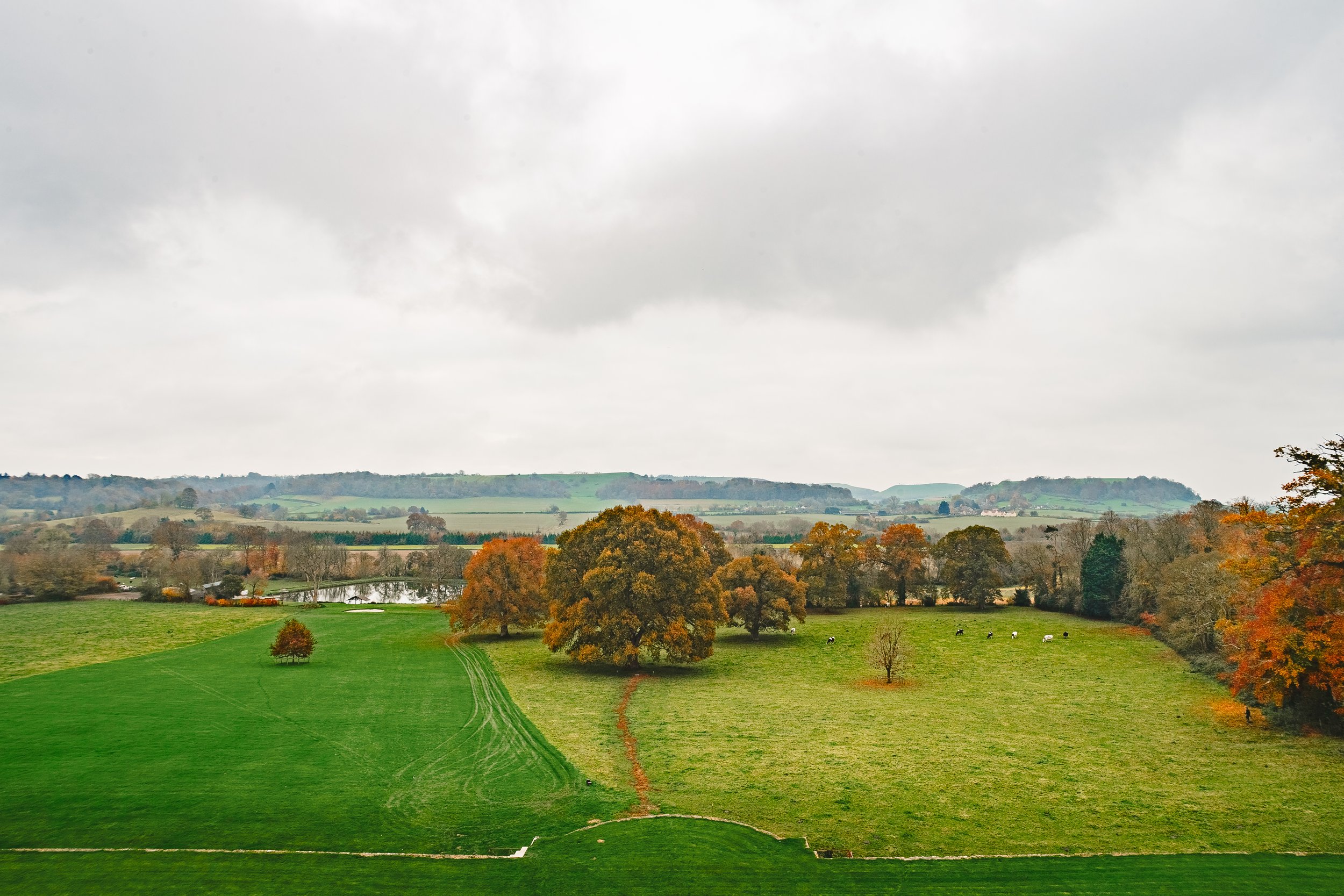 view from the roof of North Cadbury Court.jpg