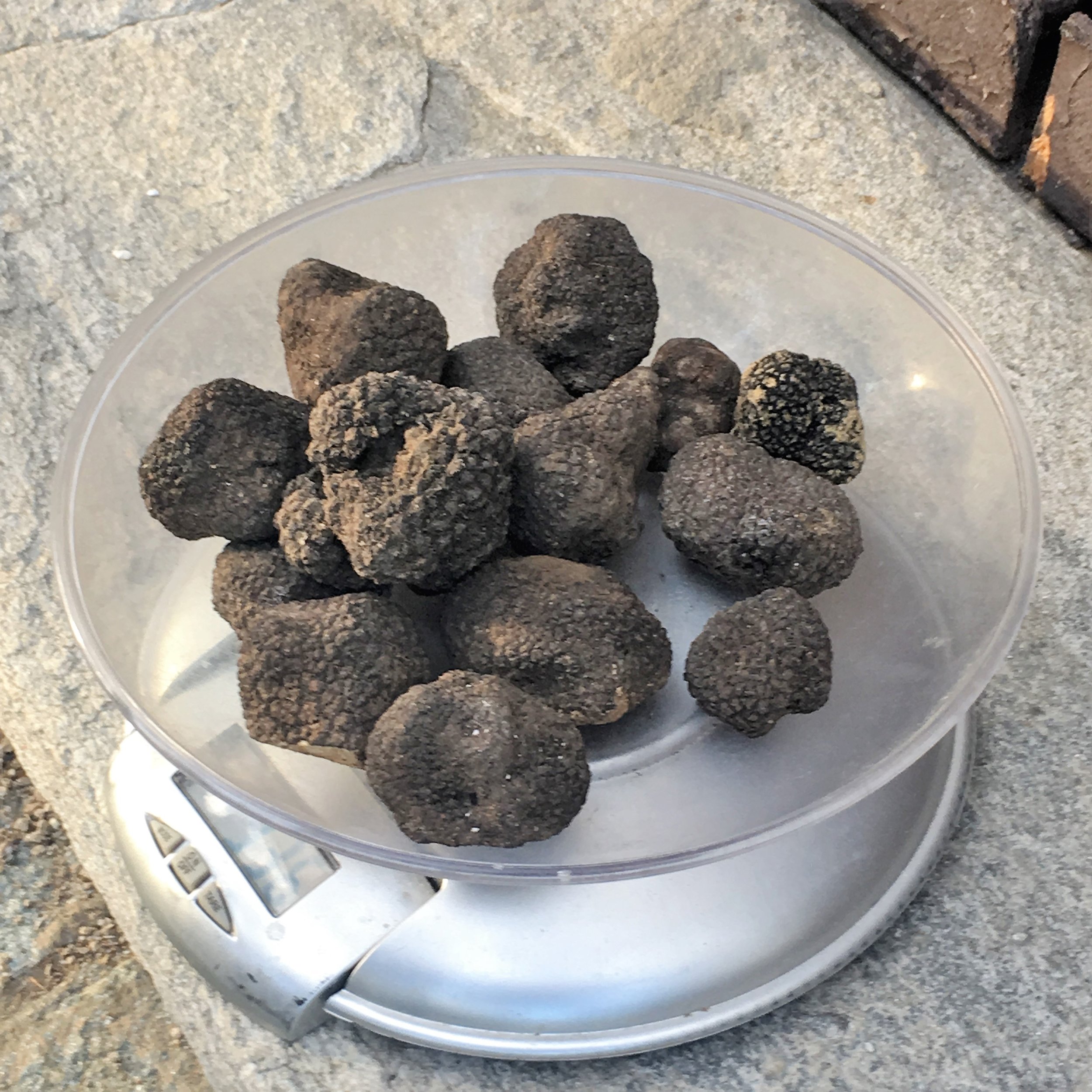 Day 6 Truffles - Black.jpg