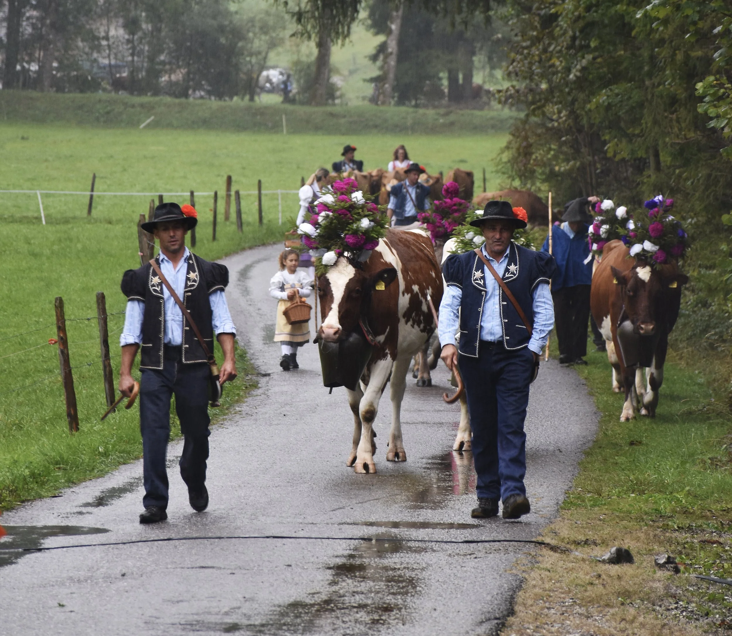 cheese journeys the alps (176).jpg