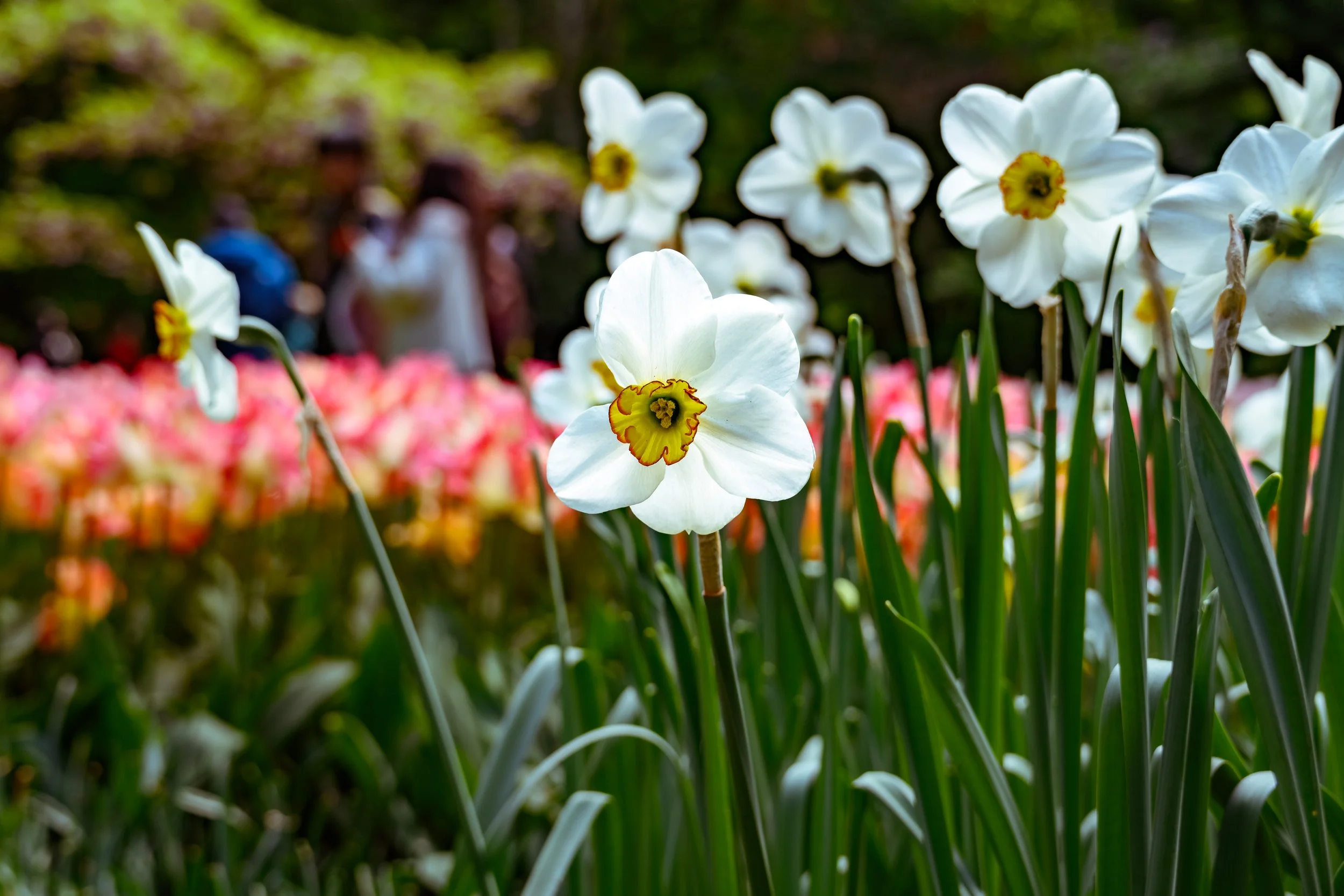 DSC_7434-HDR.jpg