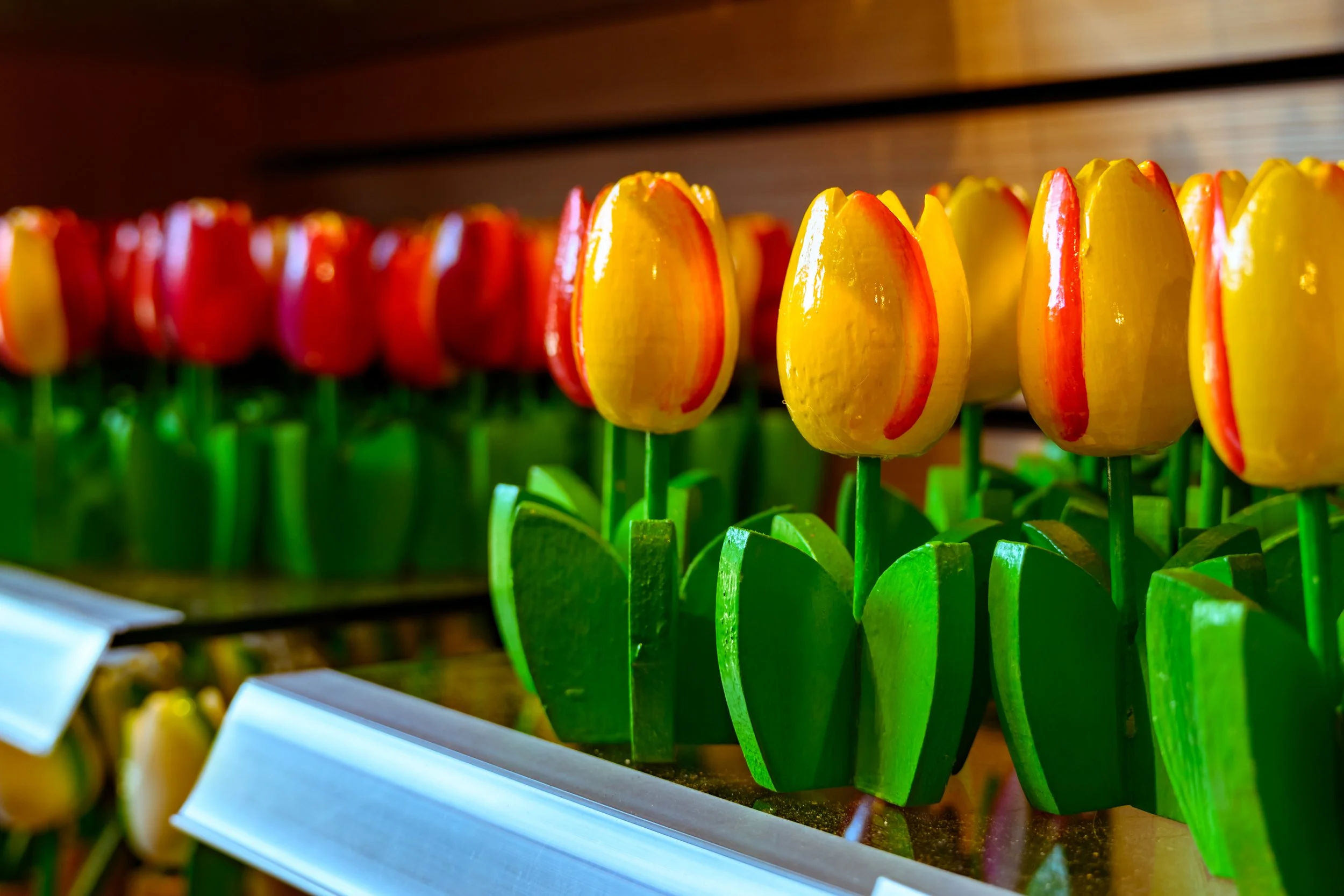 DSC_7620-HDR.jpg