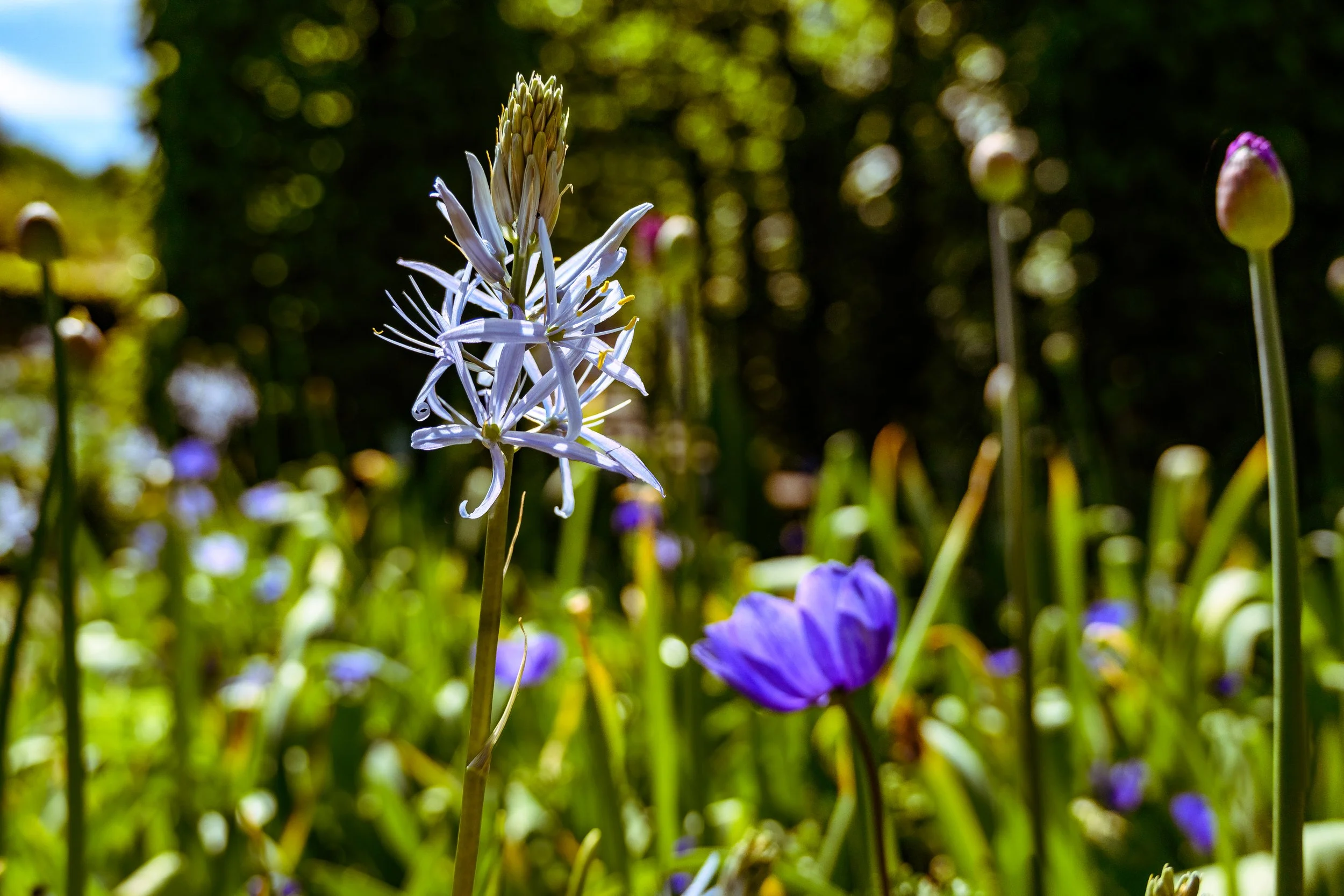 DSC_7575-HDR.jpg