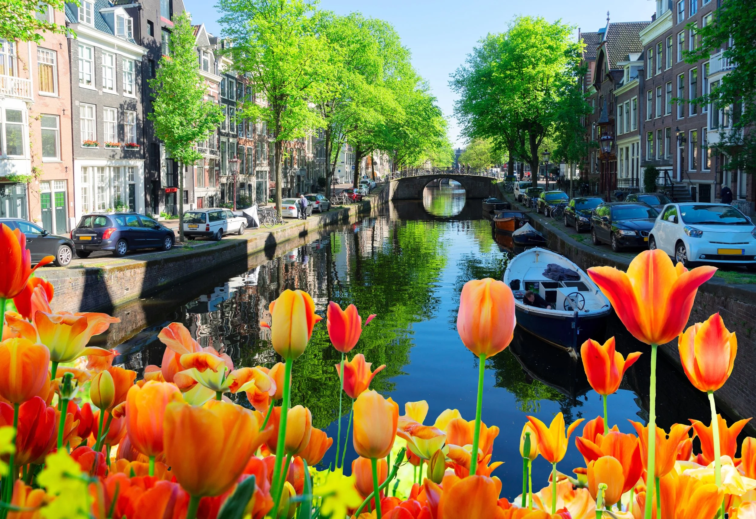 shutterstock_2441597831.jpg