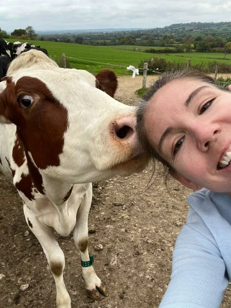 WhatsApp Image 2025-10-10 at 21.41.17.jpeg